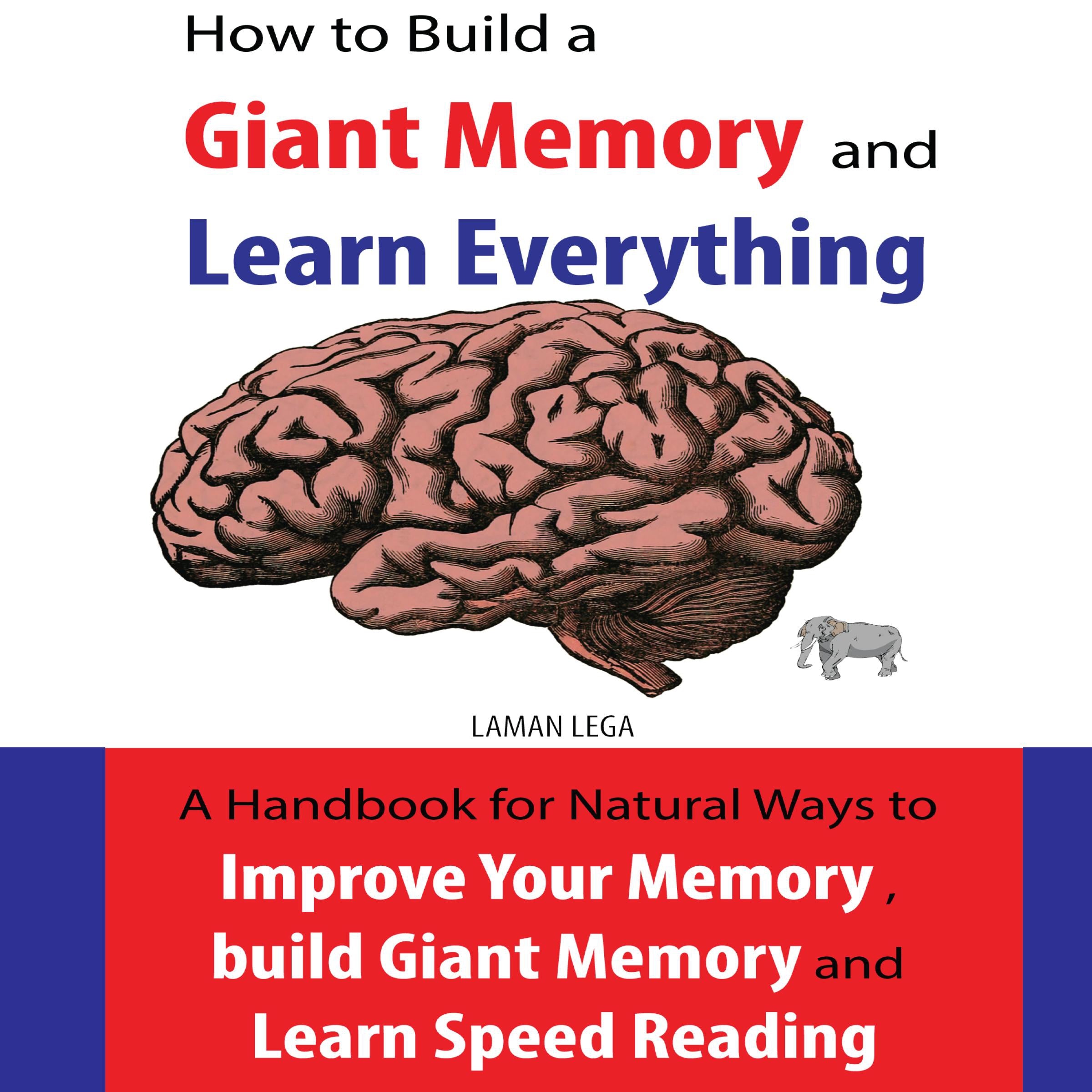 How to Build a Giant Memory and Learn Everything