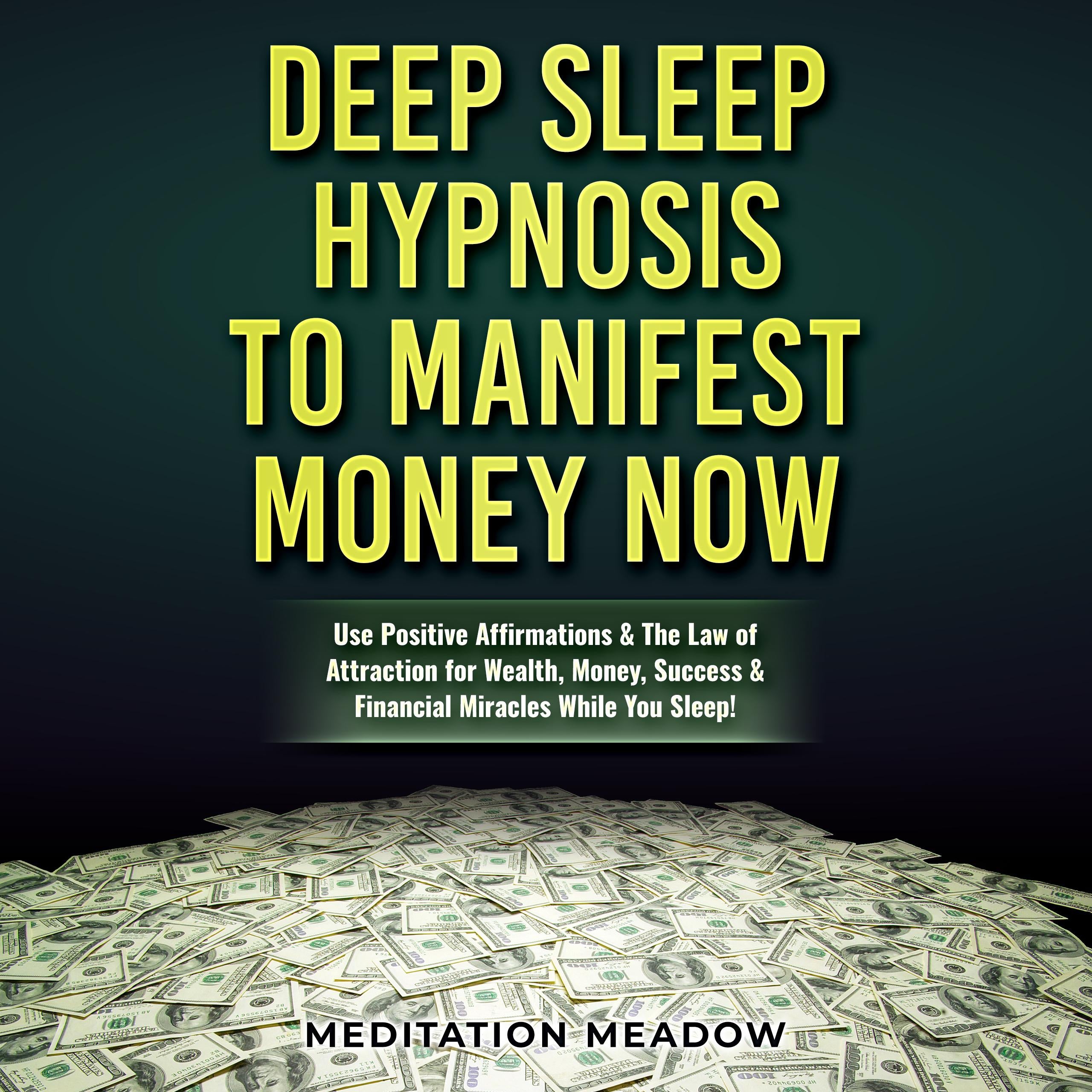 Deep Sleep Hypnosis to Manifest Money NOW