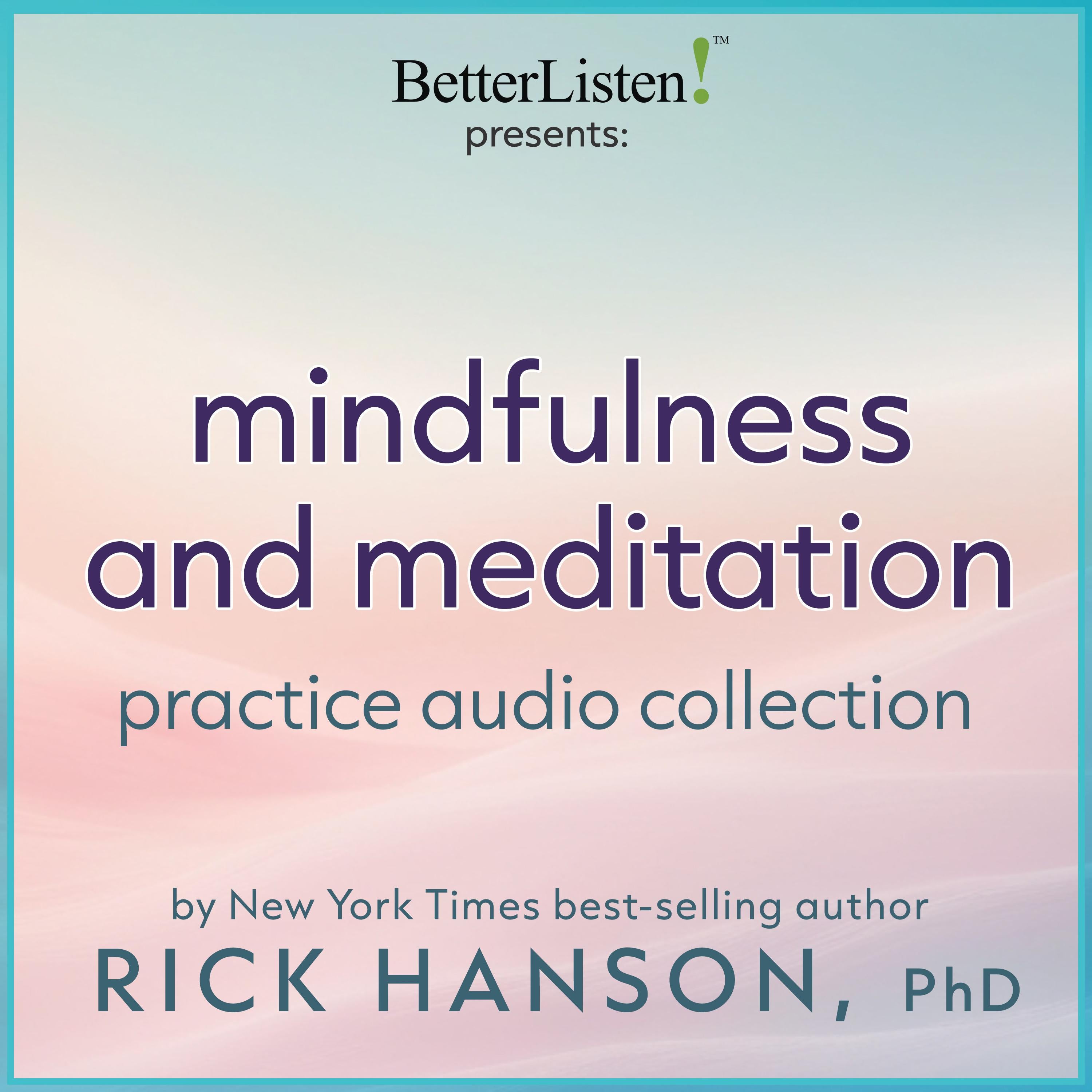Mindfulness and Meditation Practice Audio Collection with Dr. Rick Hanson