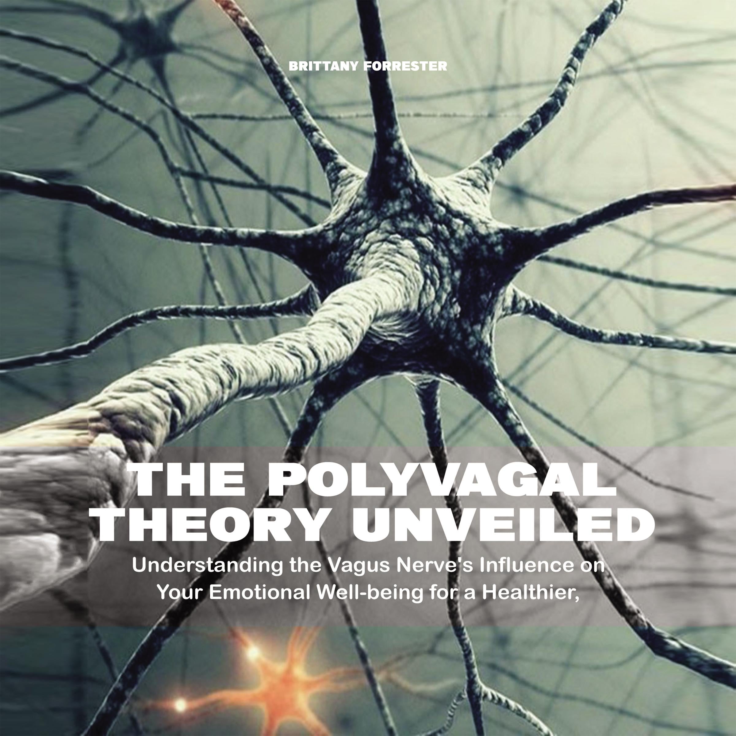 The Polyvagal Theory Unveiled