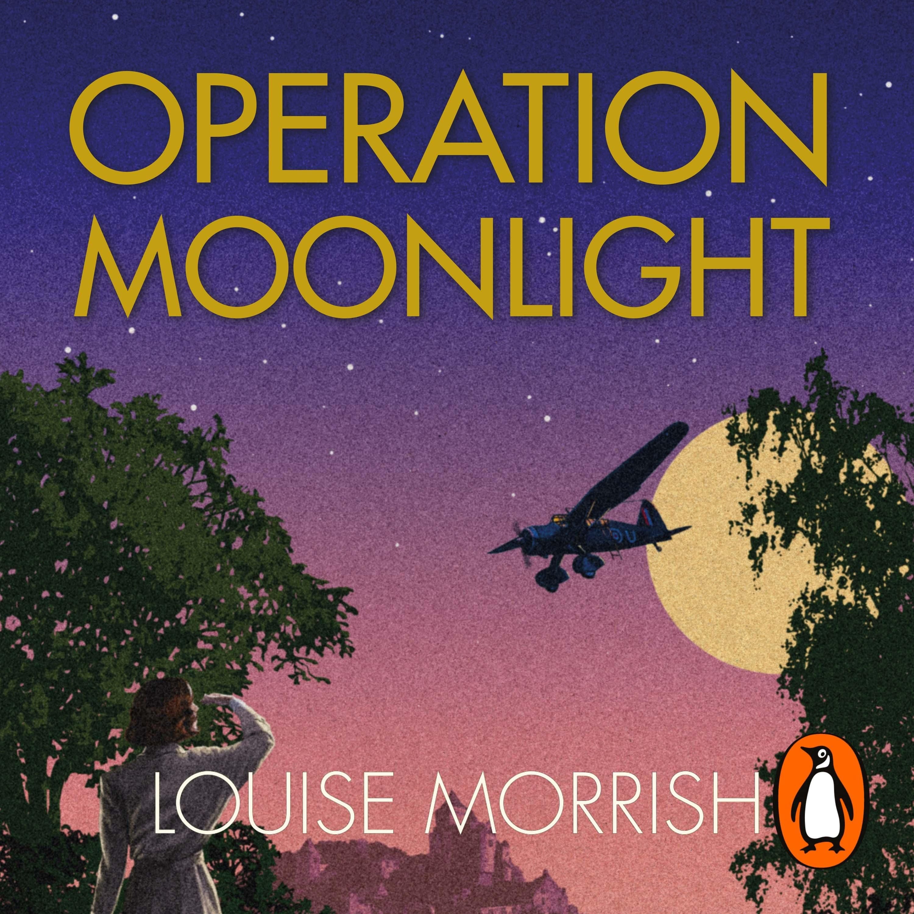 Operation Moonlight