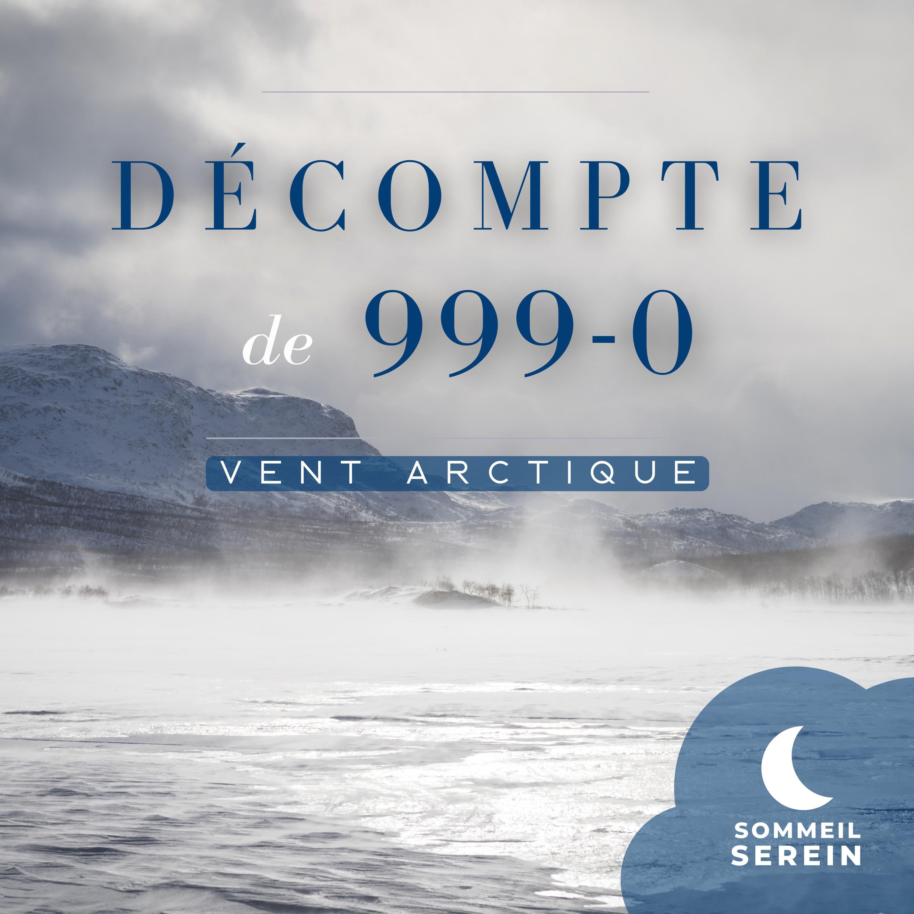 Décompte de 999-0: Vent arctique