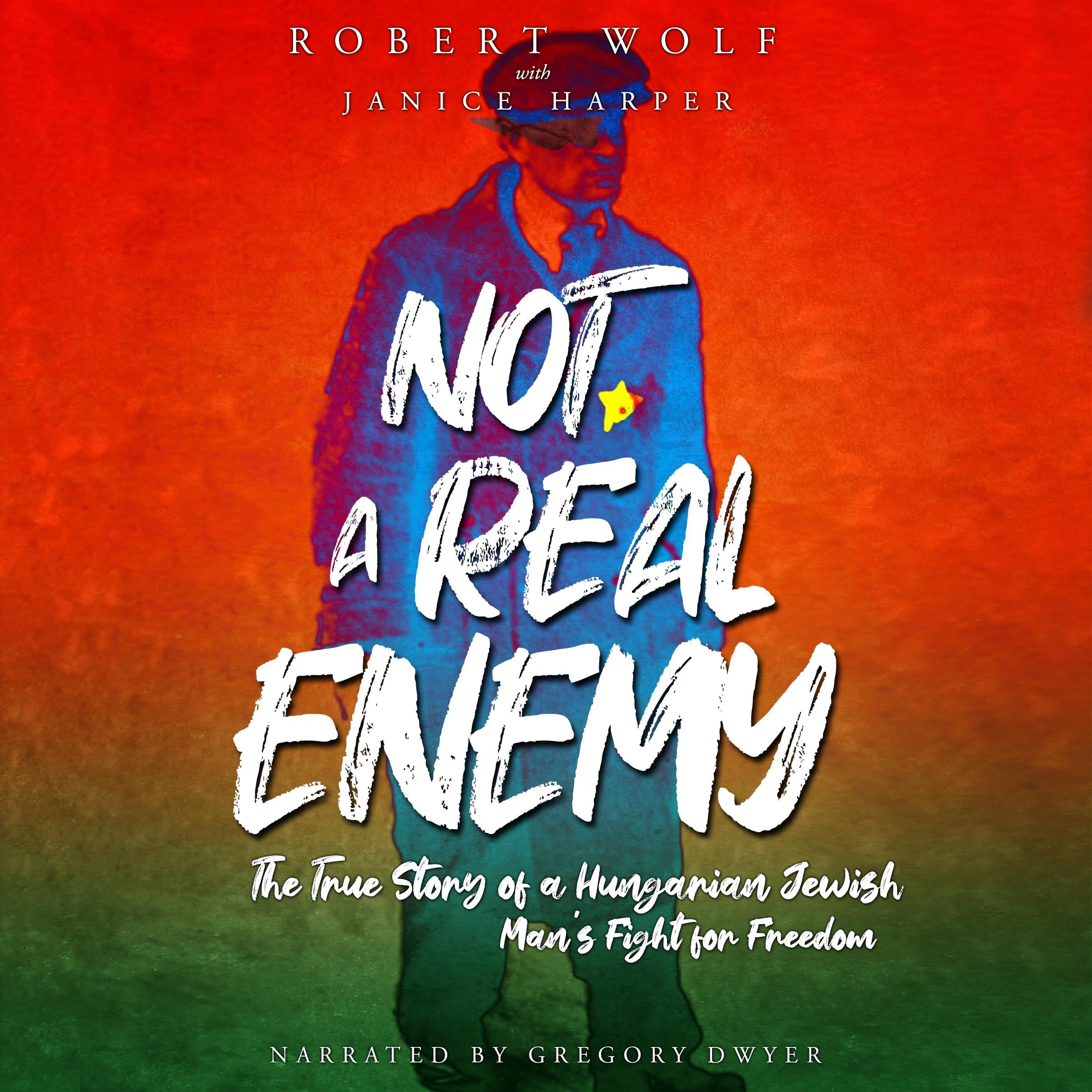 Not A Real Enemy