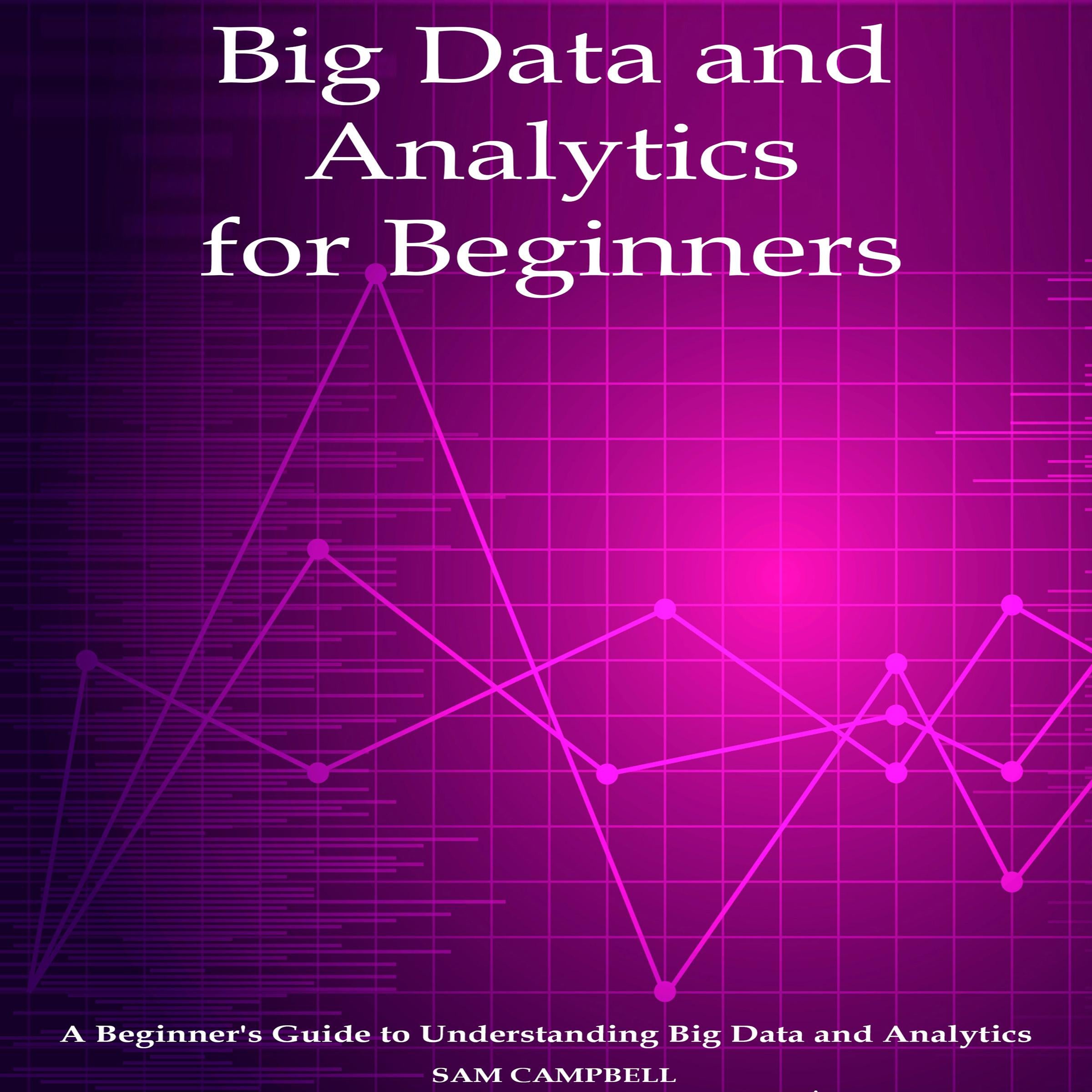 Big Data and Analytics for Beginners