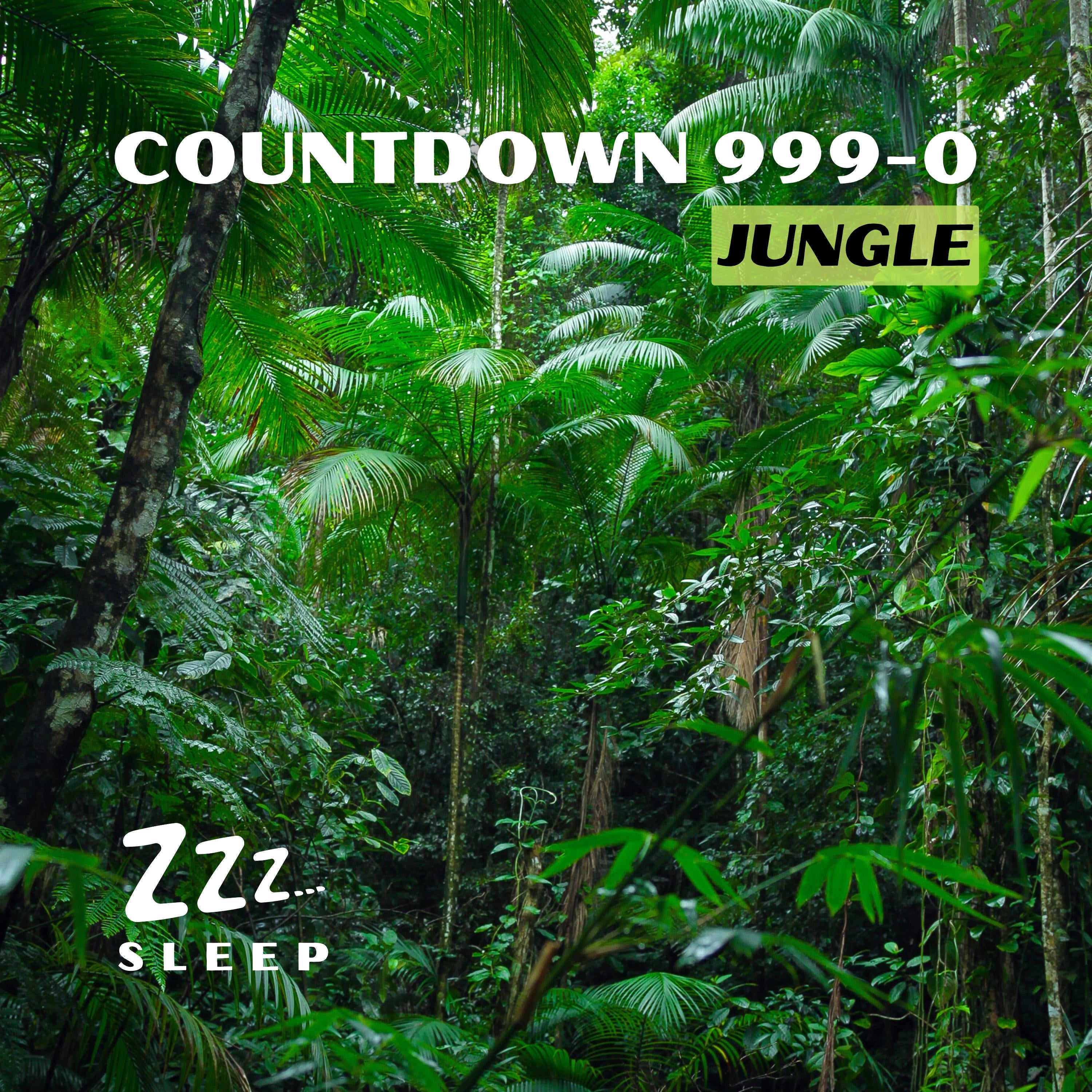 Countdown 999-0: Jungle