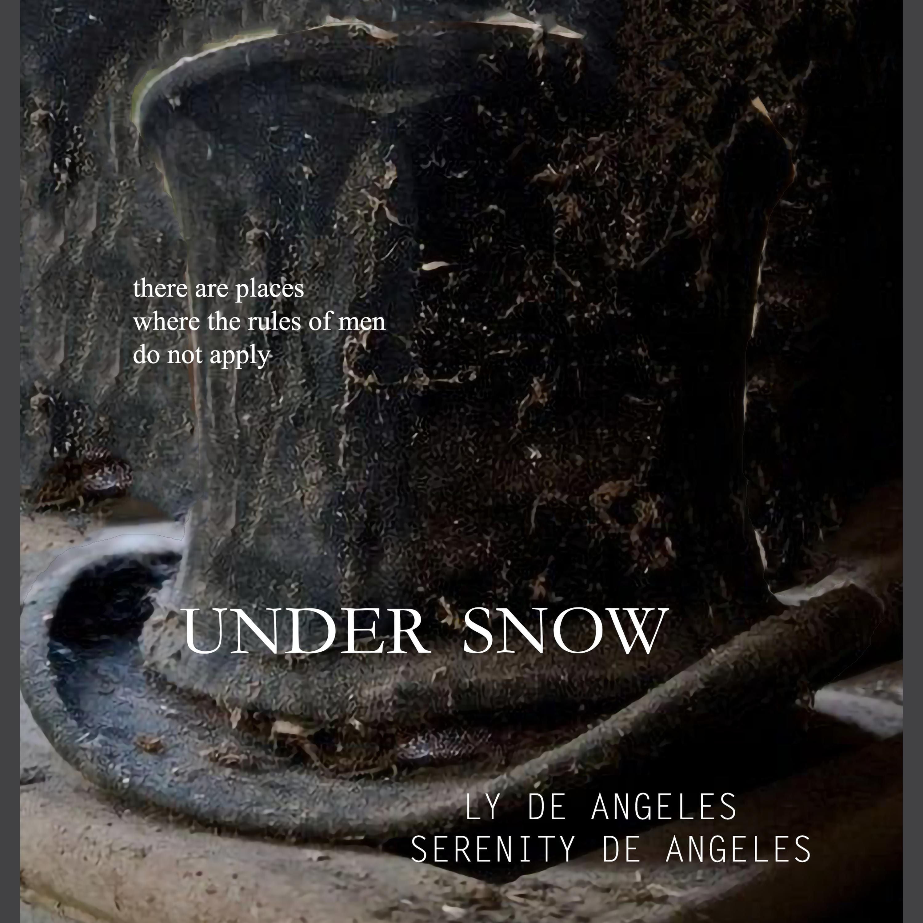 UNDER SNOW