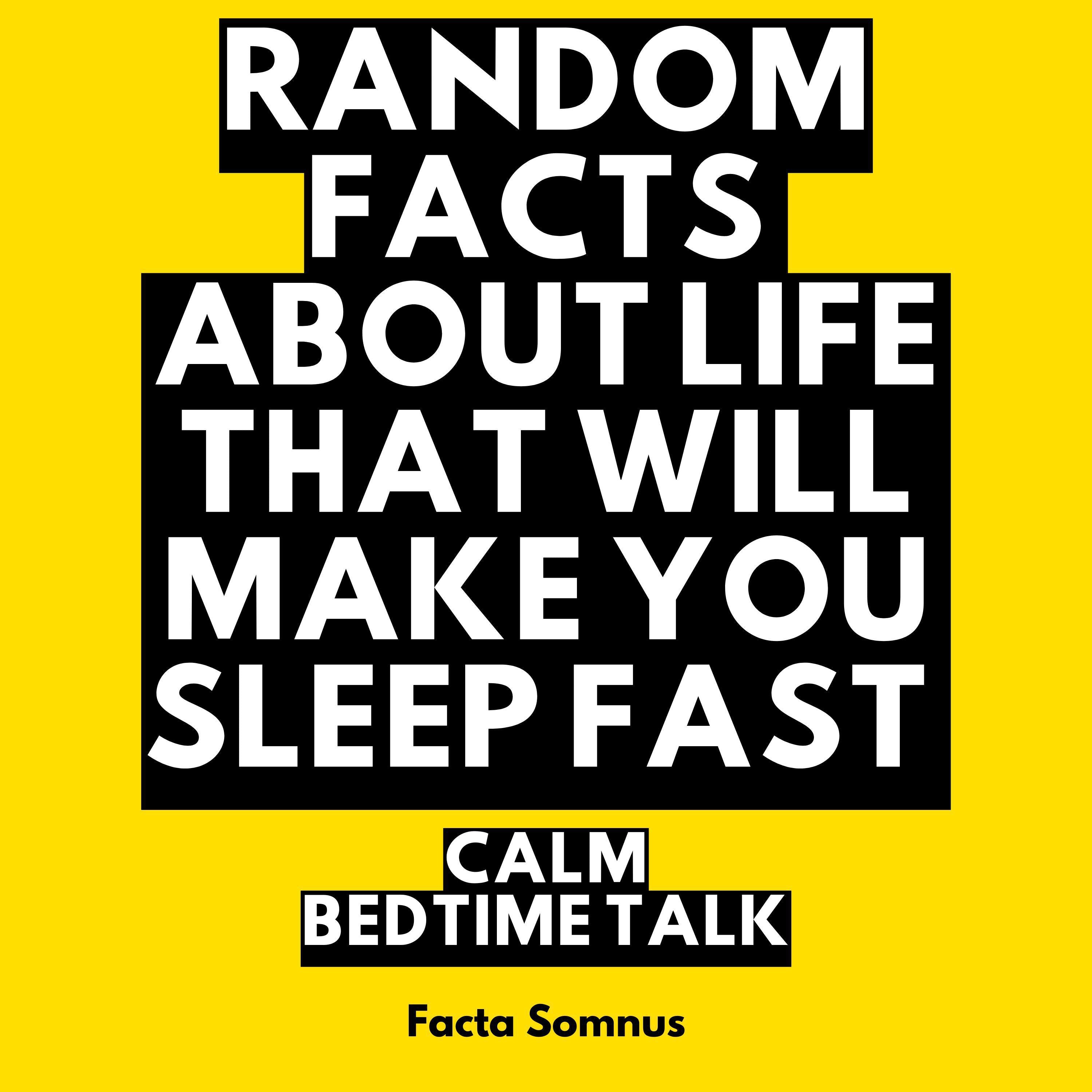 Random Facts About Life That Will Make You Sleep Fast: Calm Bedtime Talk