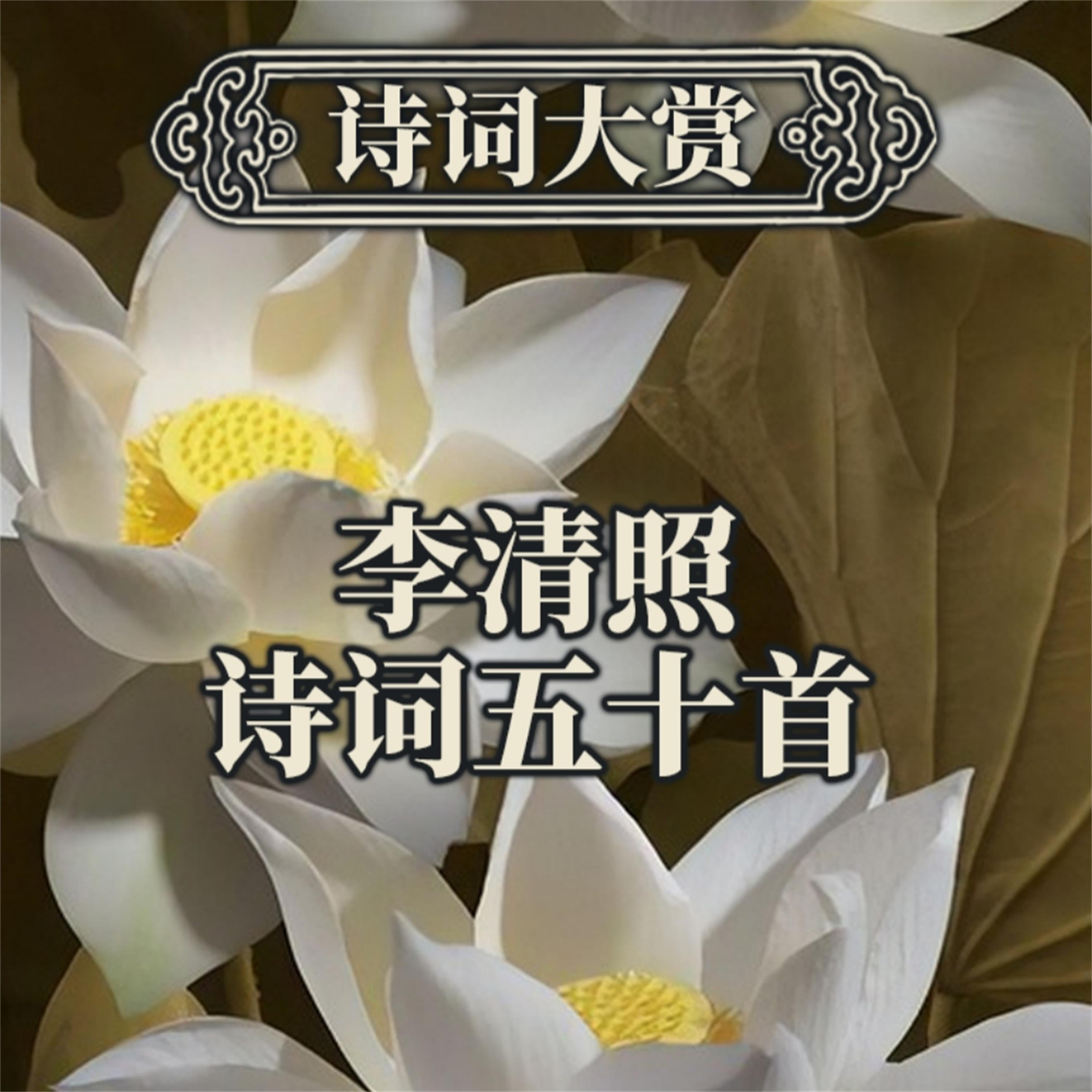 诗词大赏：李清照诗词五十首