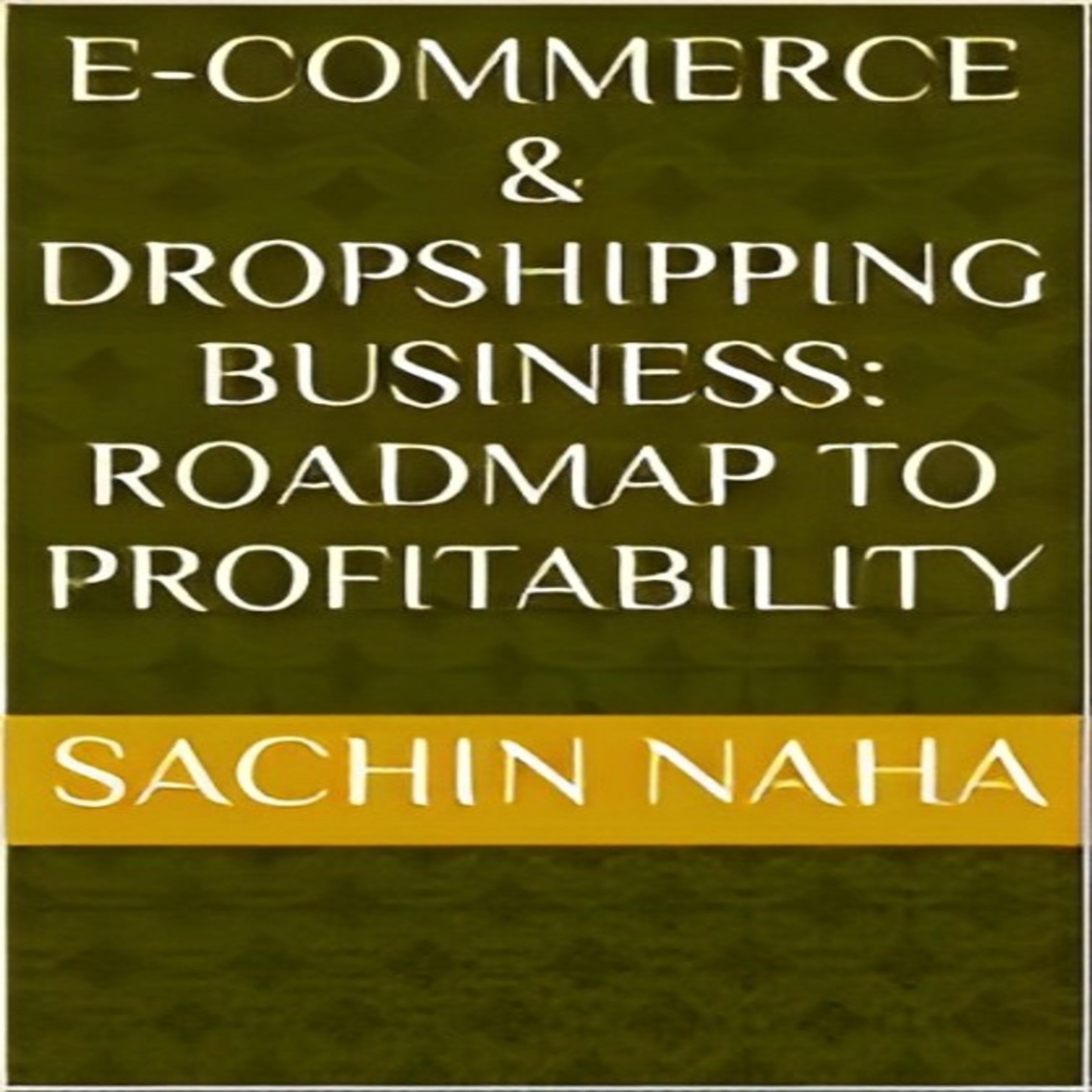 E-Commerce & Dropshipping Business: Roadmap to Profitability