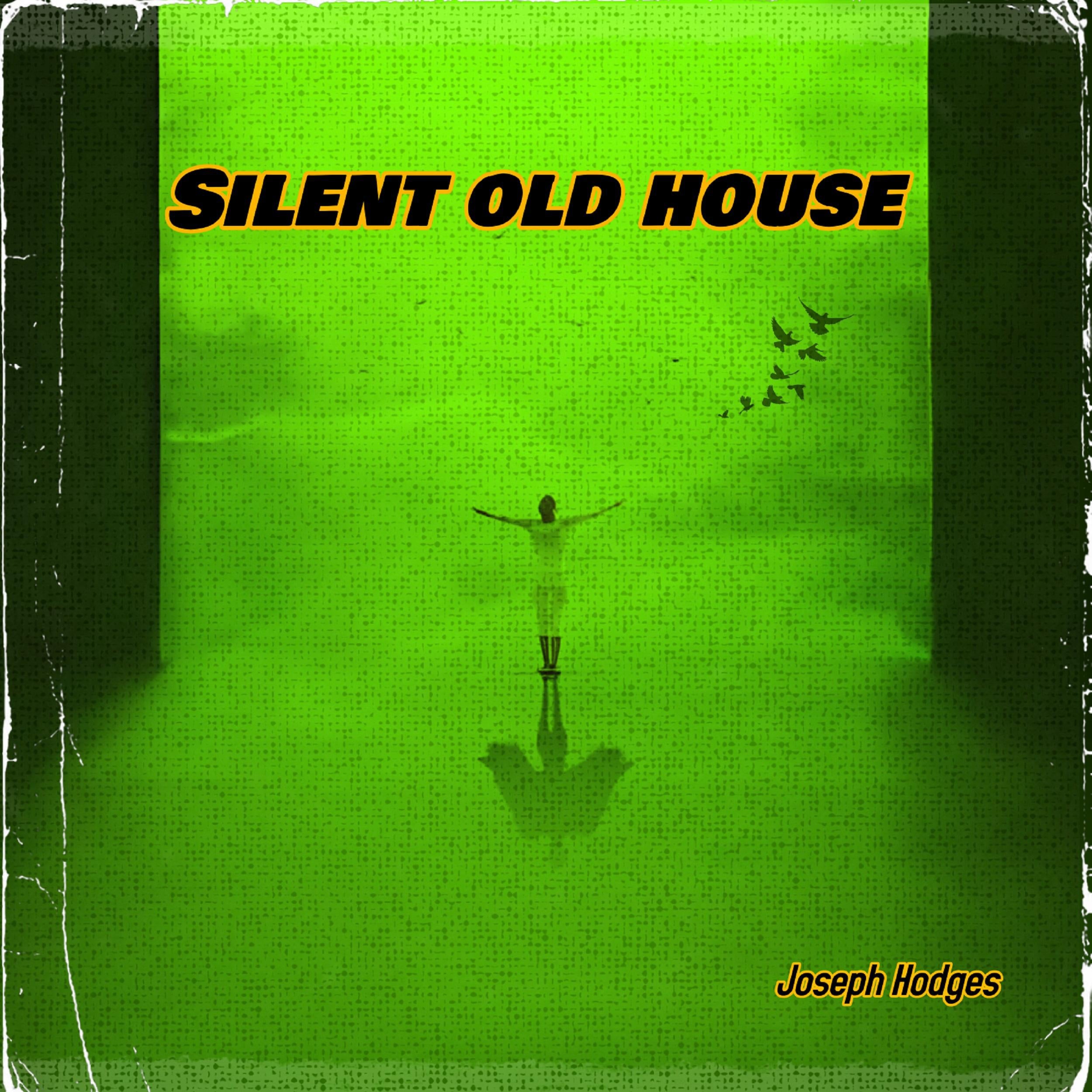 Silent Old House