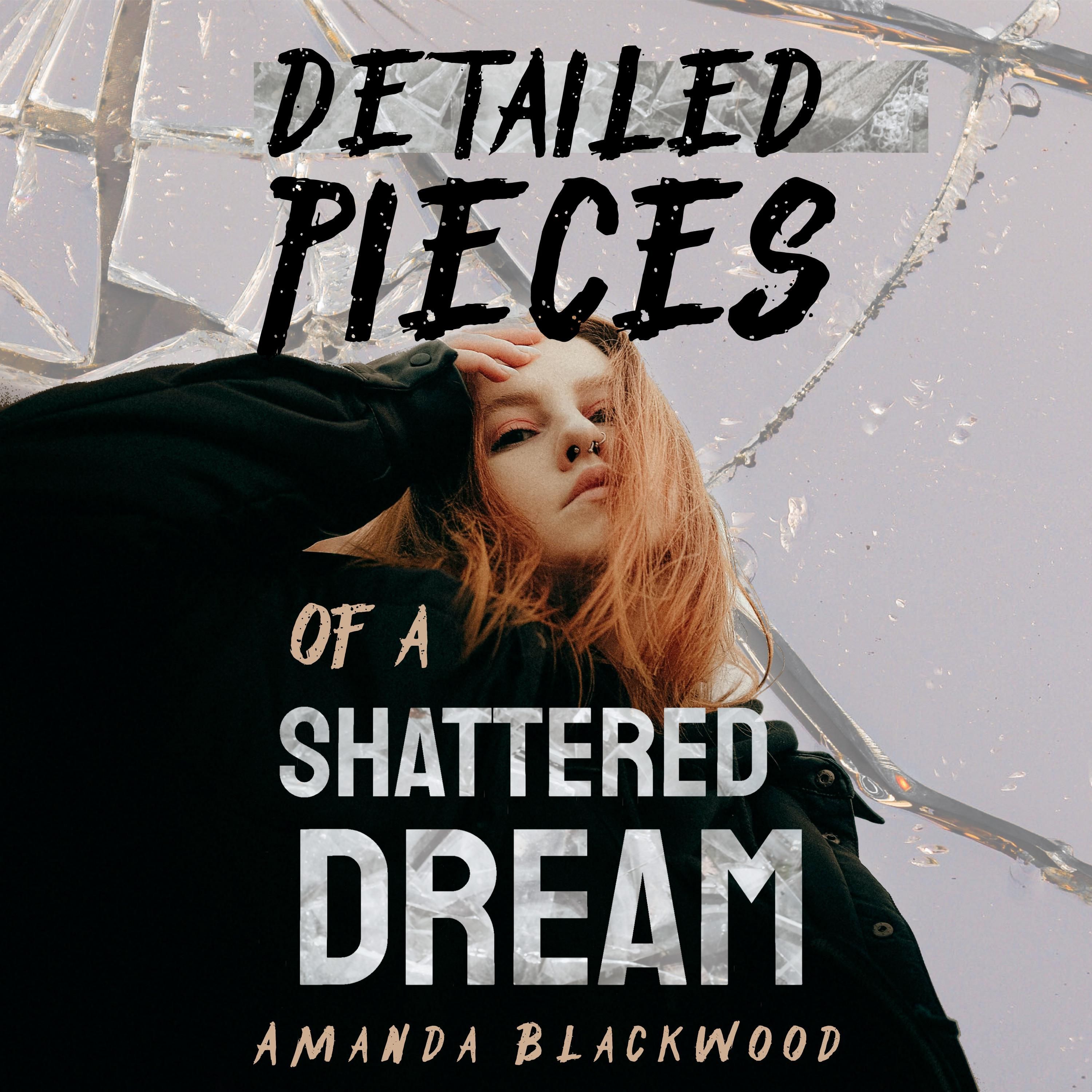Detailed Pieces of a Shattered Dream