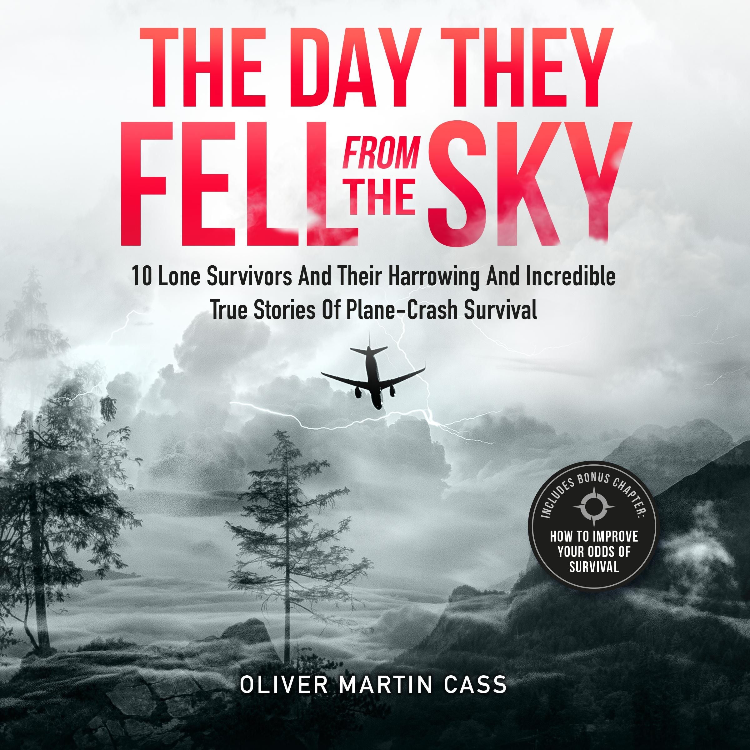 The Day They Fell From The Sky