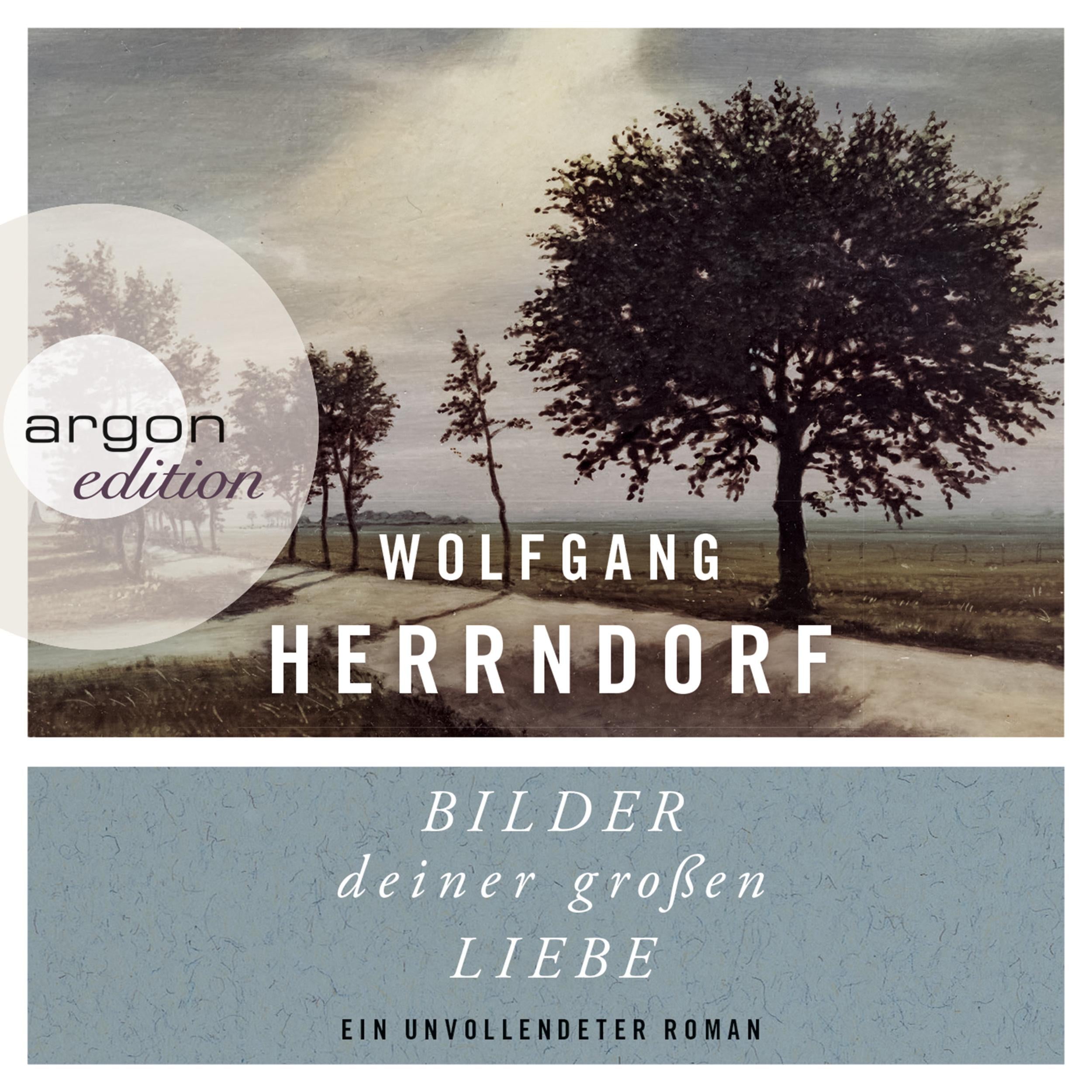 Bilder deiner großen Liebe - Ein unvollendeter Roman (Ungekürzte Fassung)