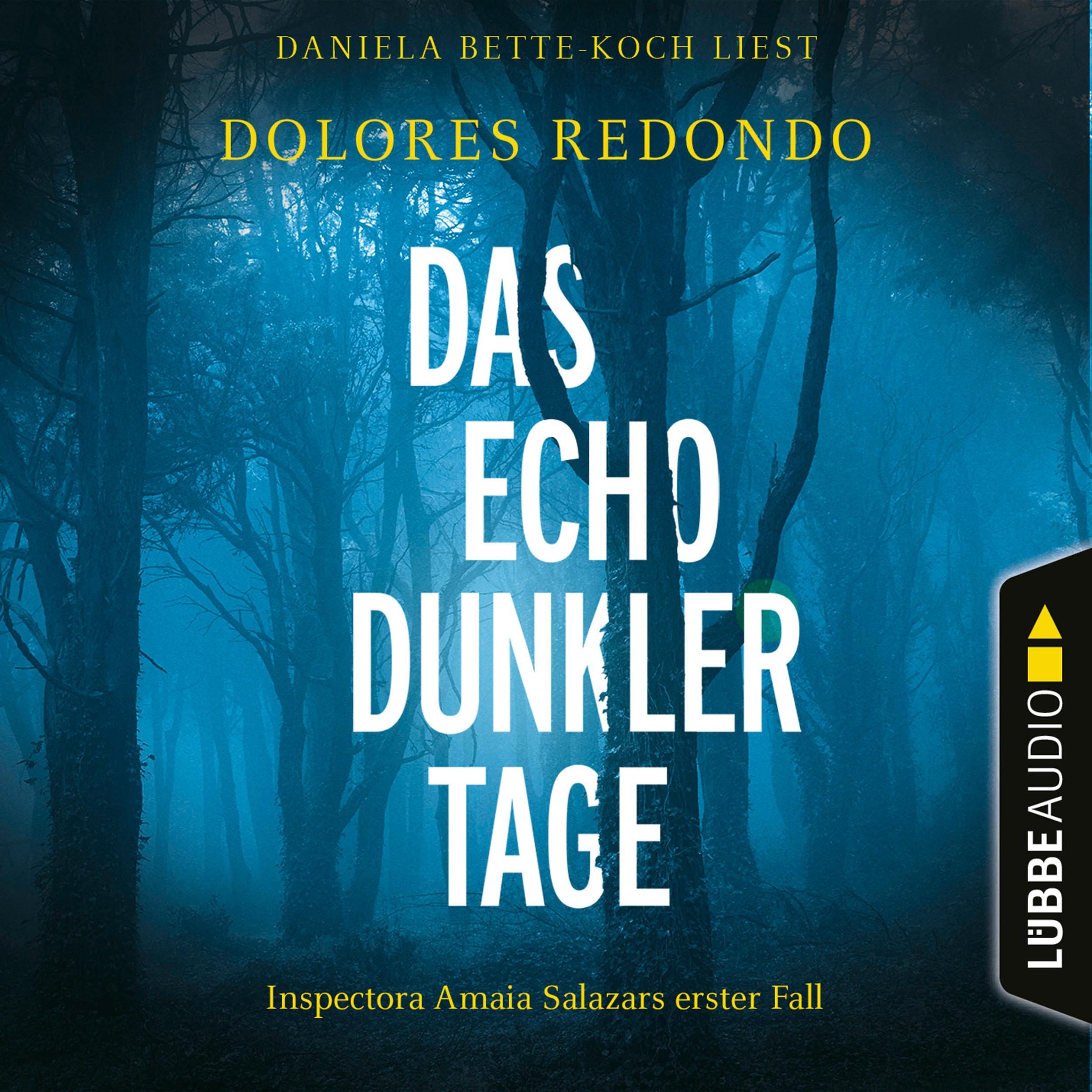 Das Echo dunkler Tage - Inspectora Amaia Salazars erster Fall - Die Baztán-Trilogie, Teil 1 (Ungekürzt)
