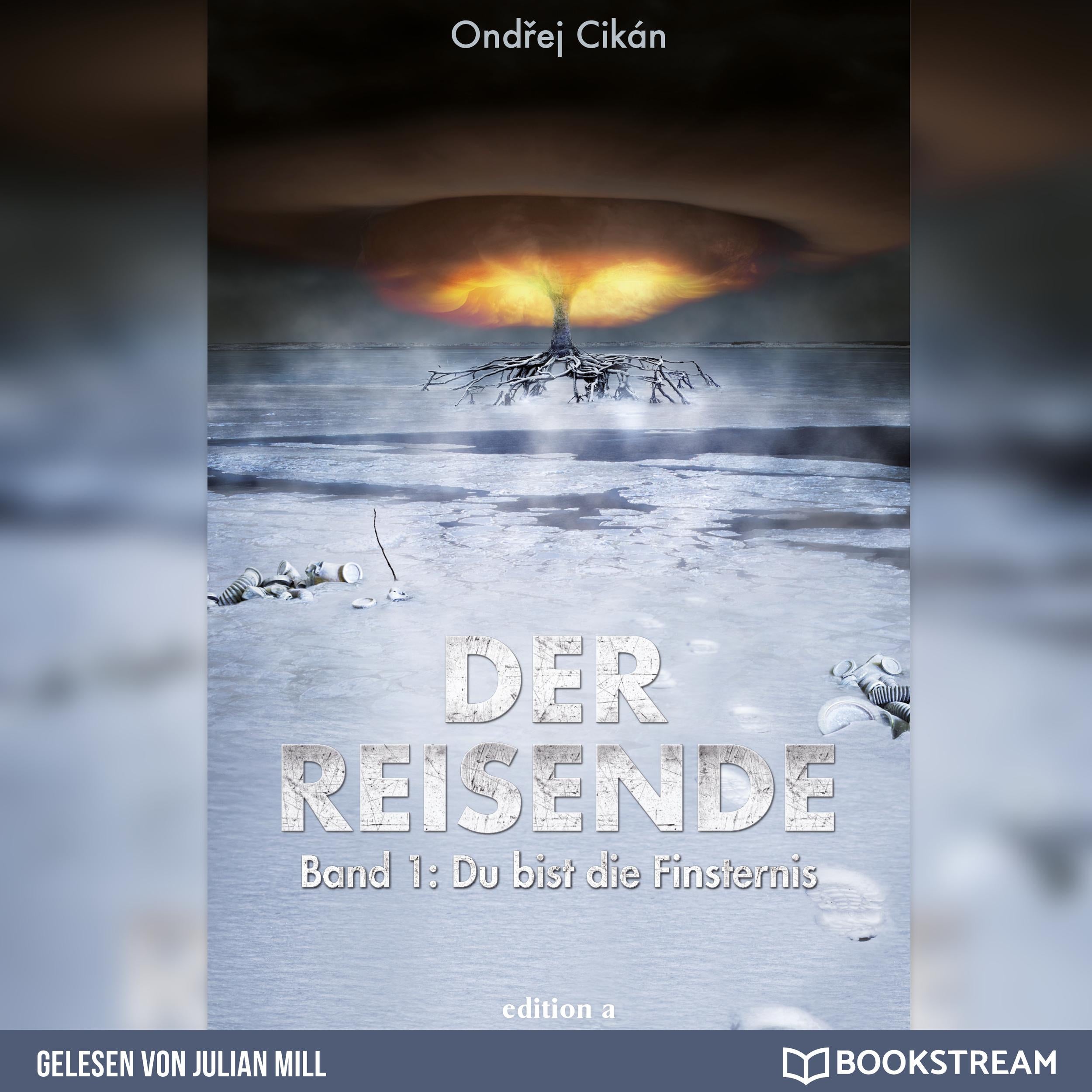Du bist die Finsternis - Der Reisende, Band 1 (Ungekürzt)