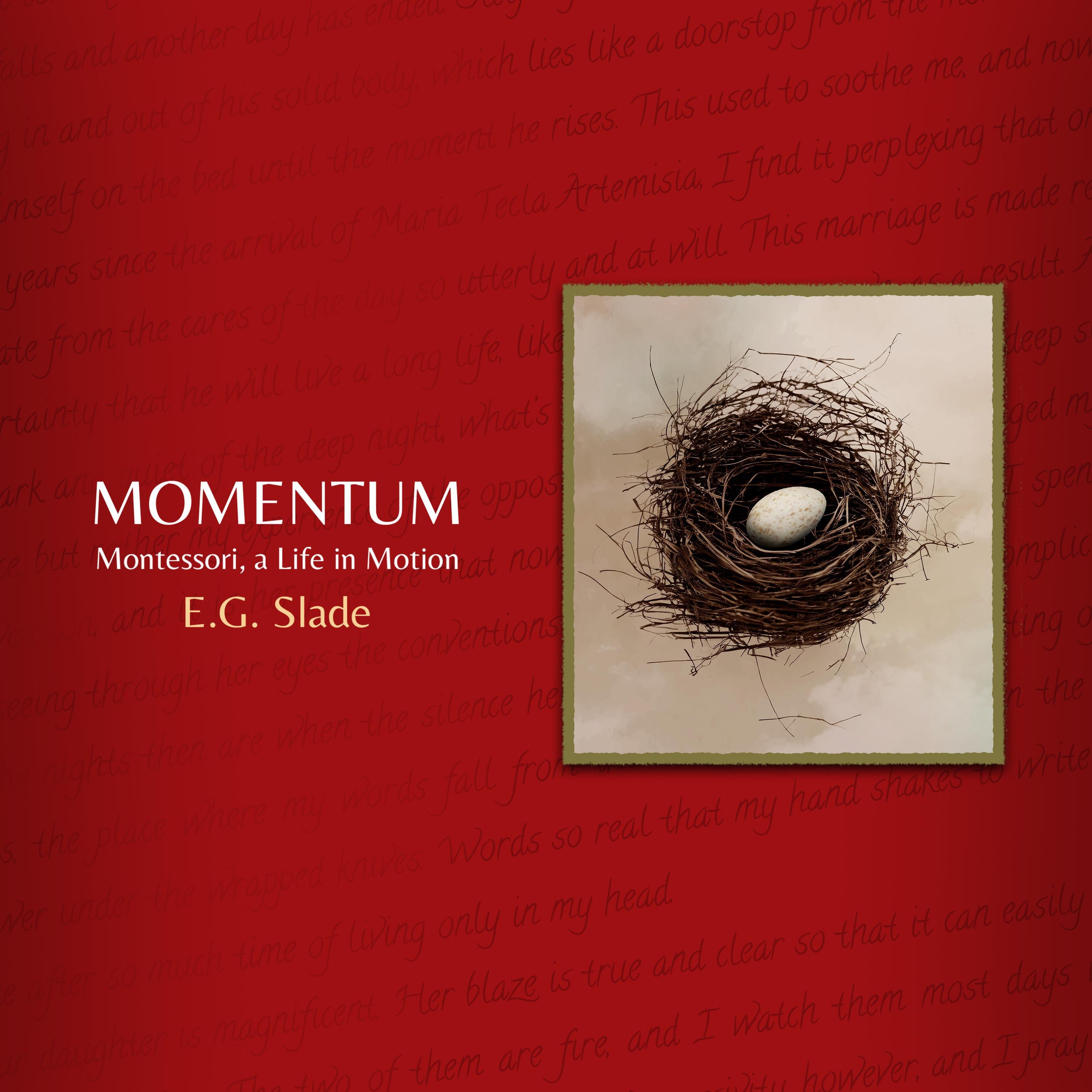 Momentum