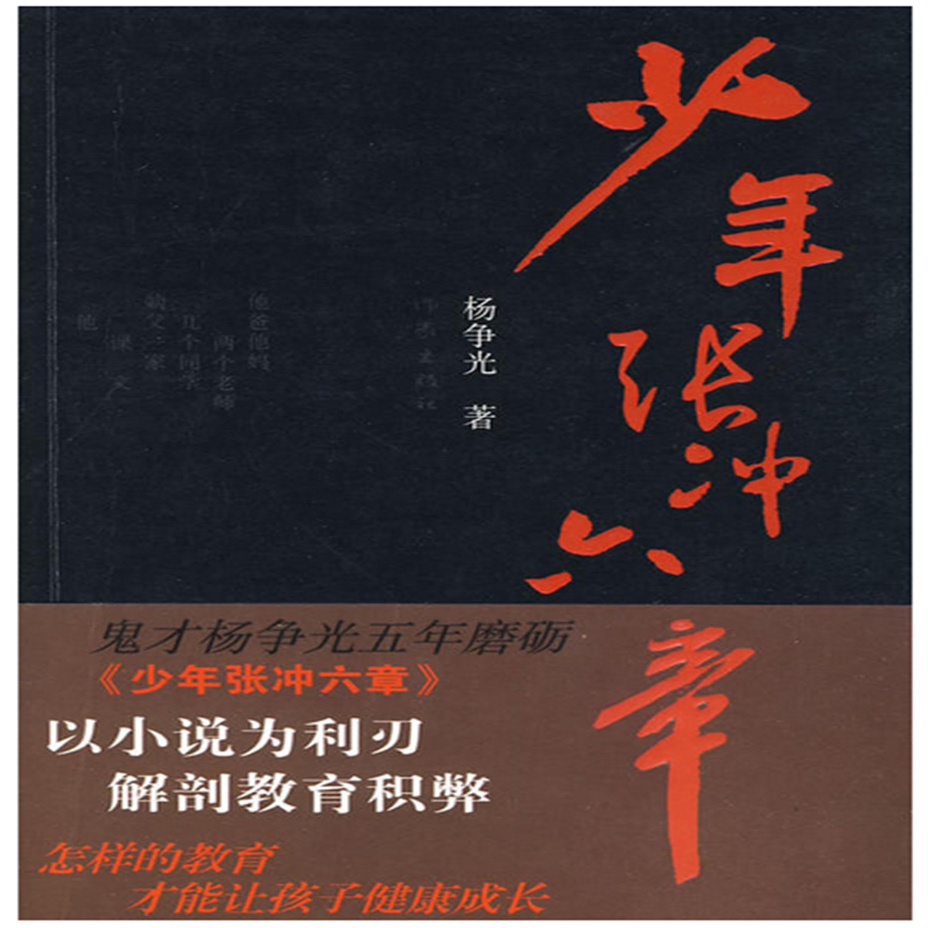 少年张冲六章