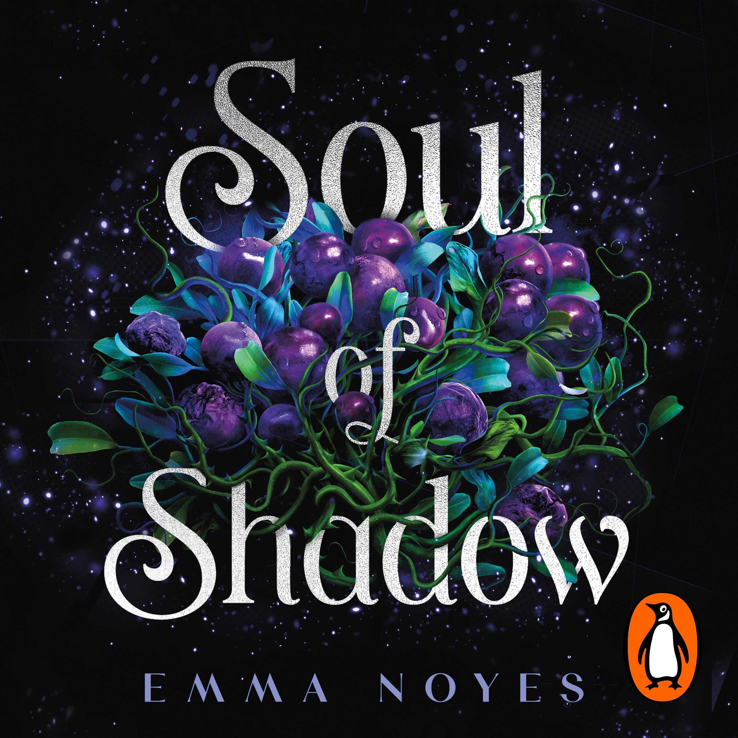 Soul of Shadow
