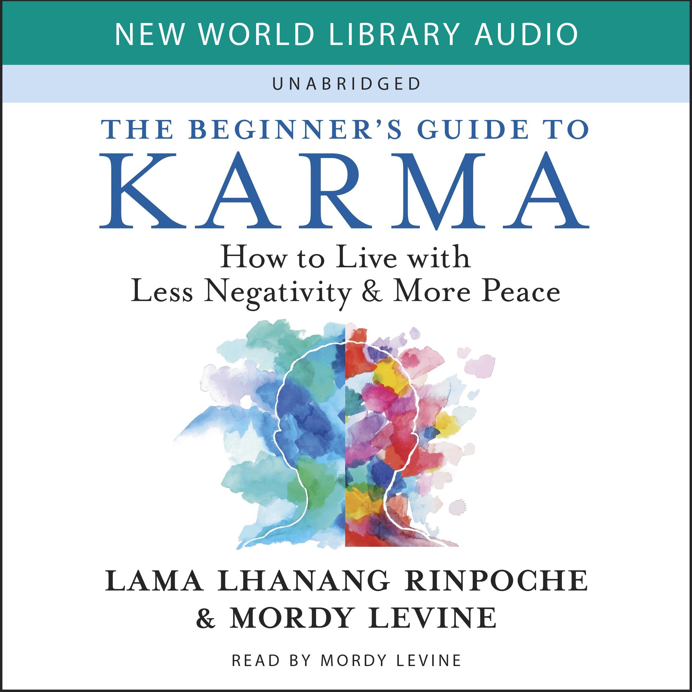 The Beginner's Guide to Karma