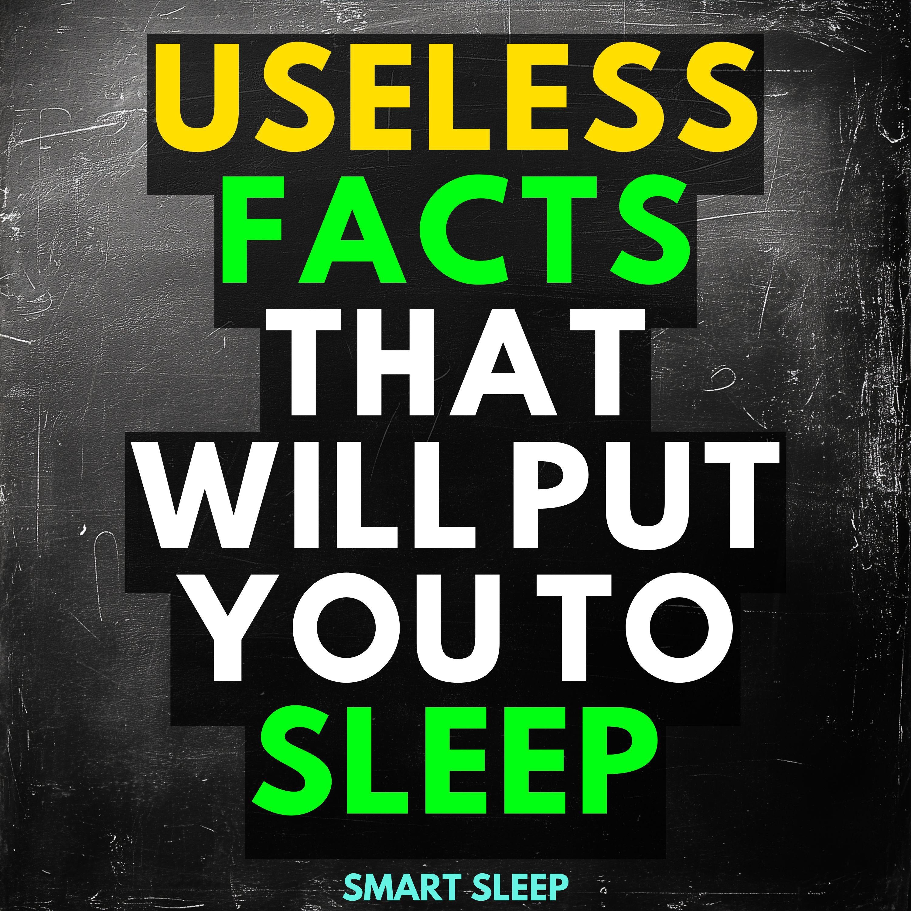 Useless Facts That Will Put You to Sleep