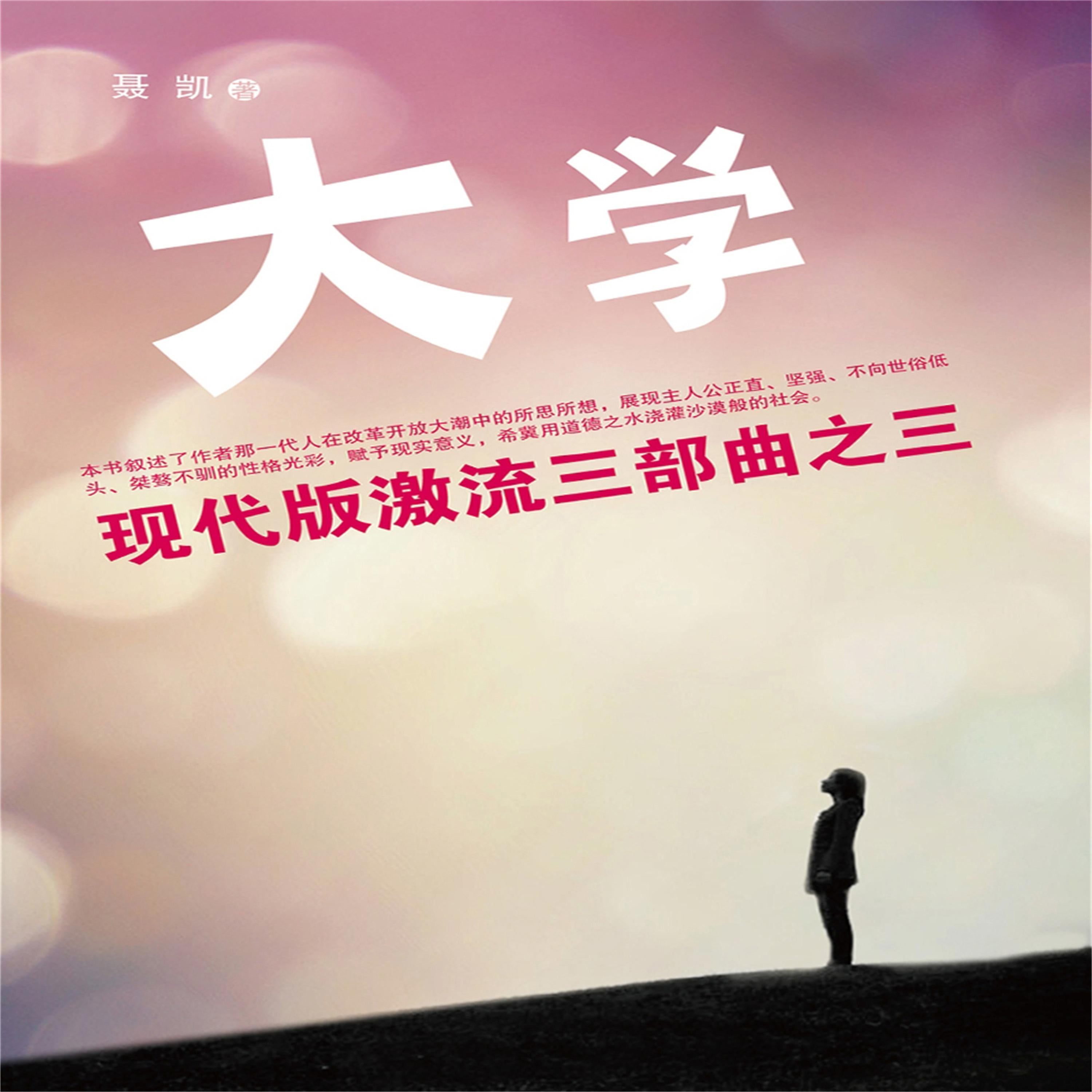 现代版激流三部曲（大学）