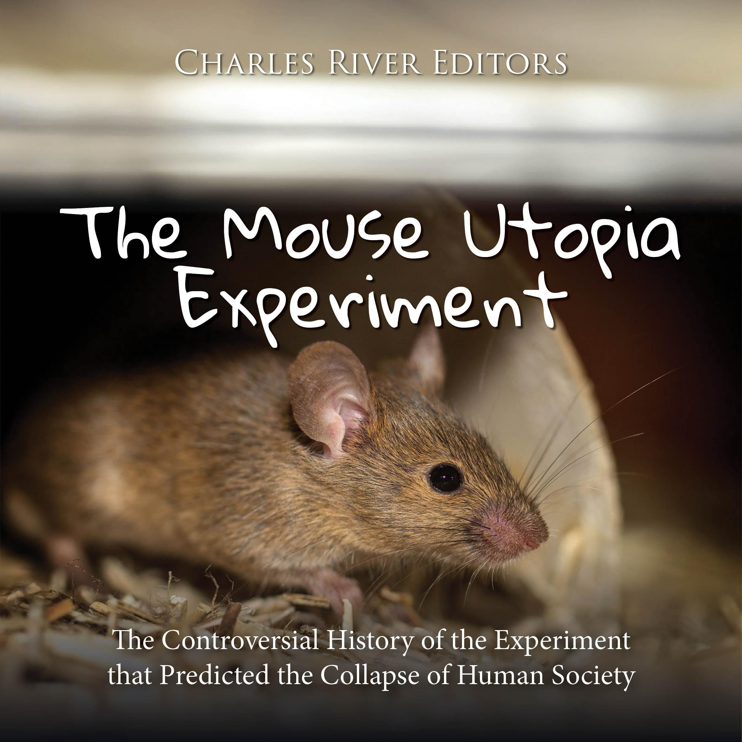 The Mouse Utopia Experiment: The Controversial History of the Experiment that Predicted the Collapse of Human Society