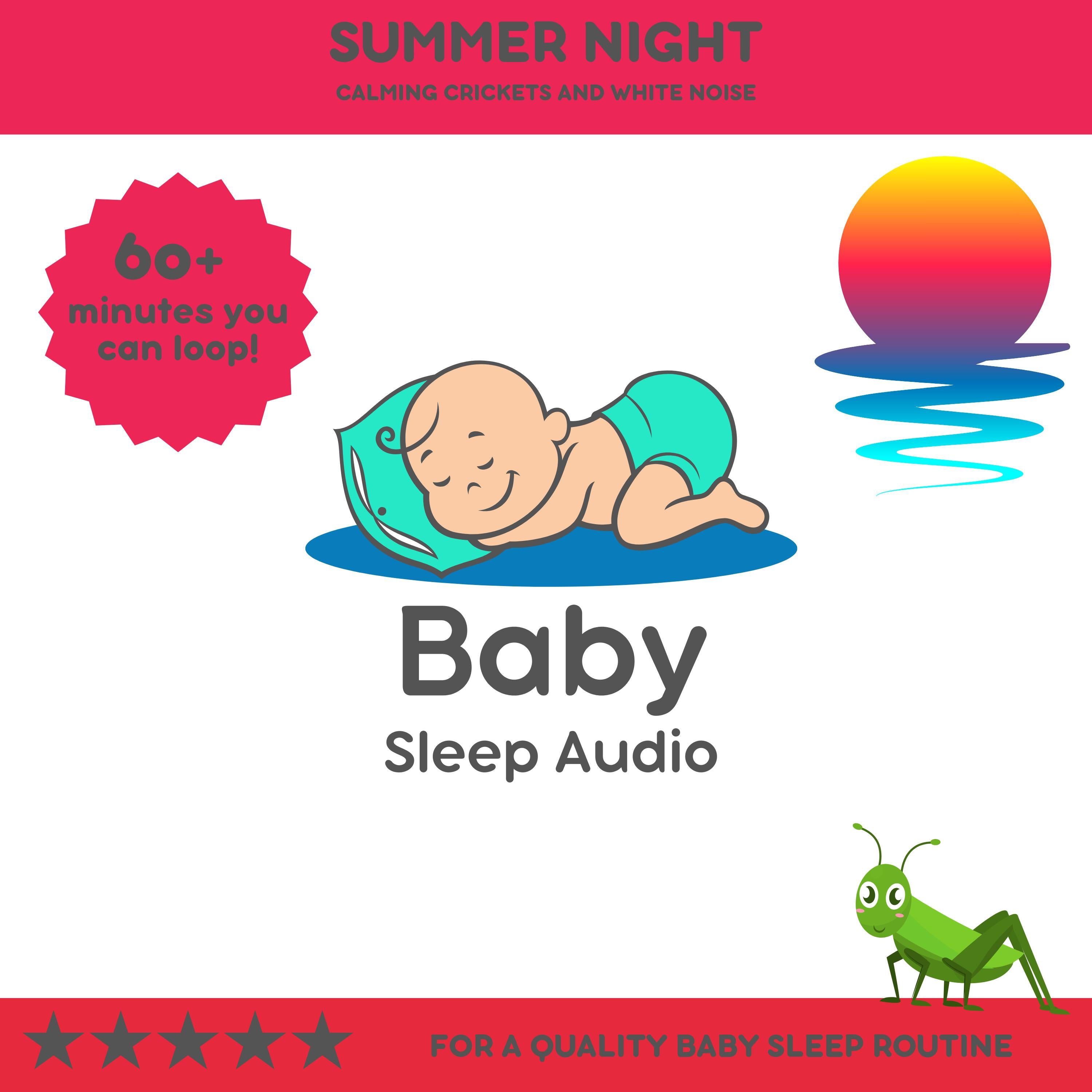 Summer Night: Calming Crickets and White Noise