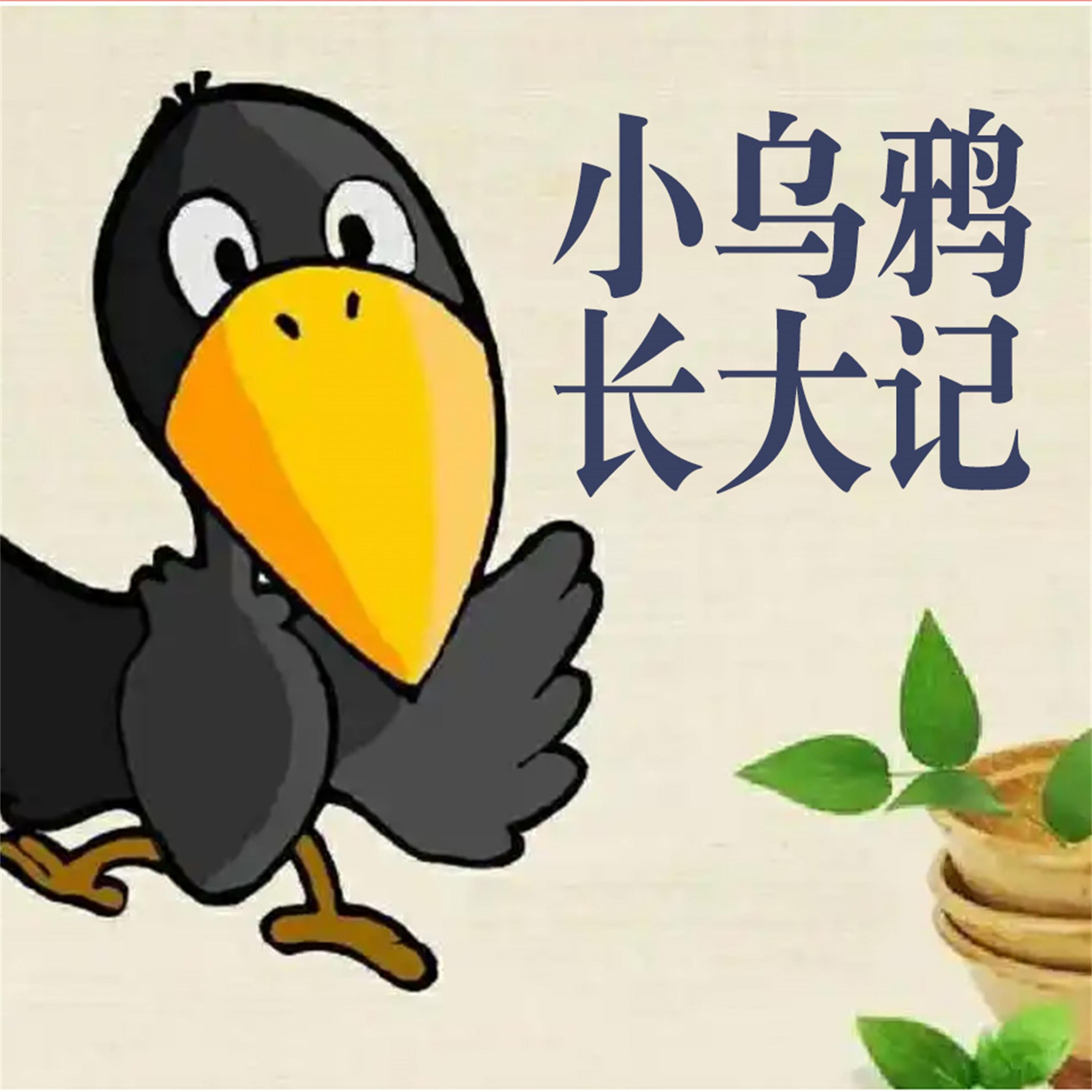 小乌鸦长大记