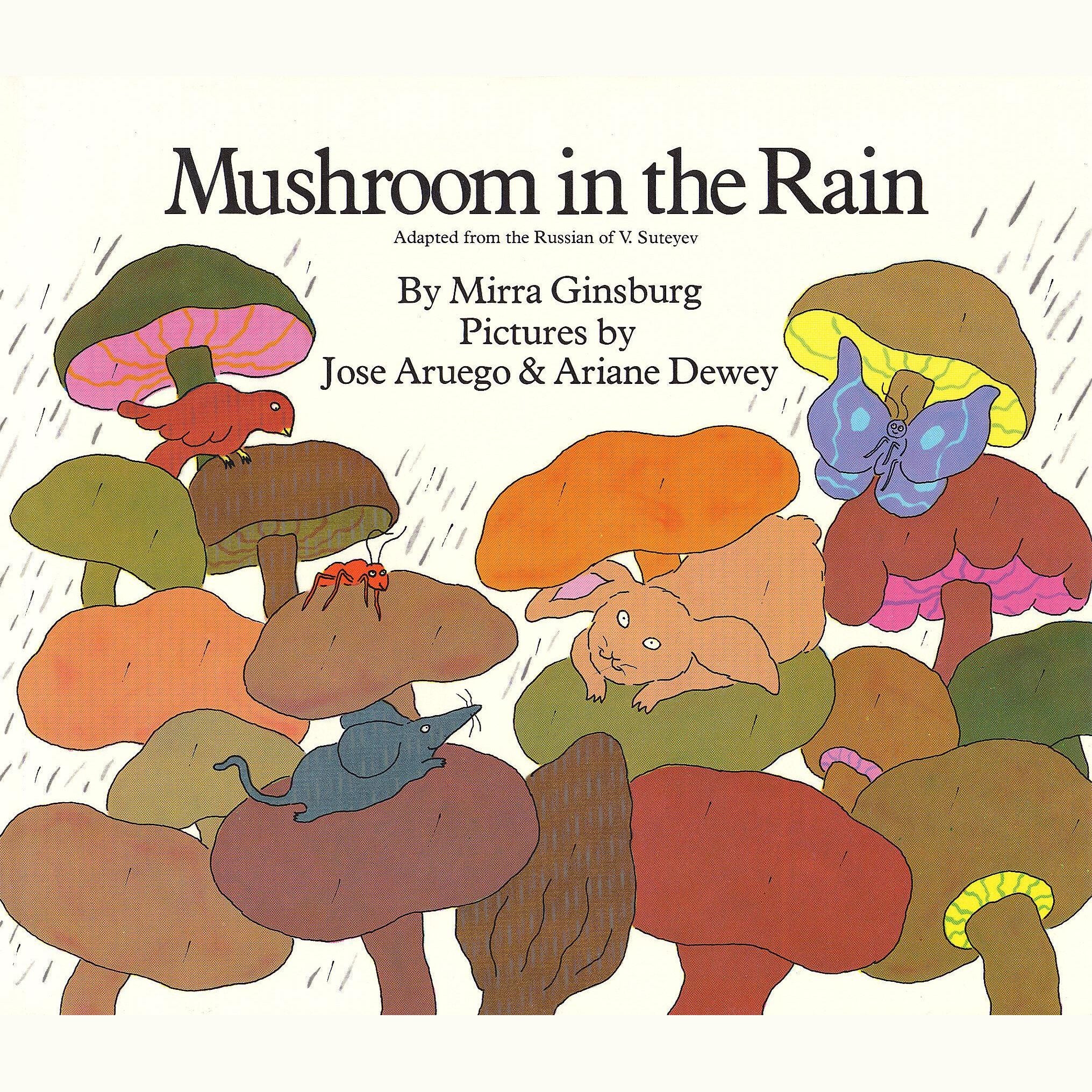 Mushroom in the Rain
