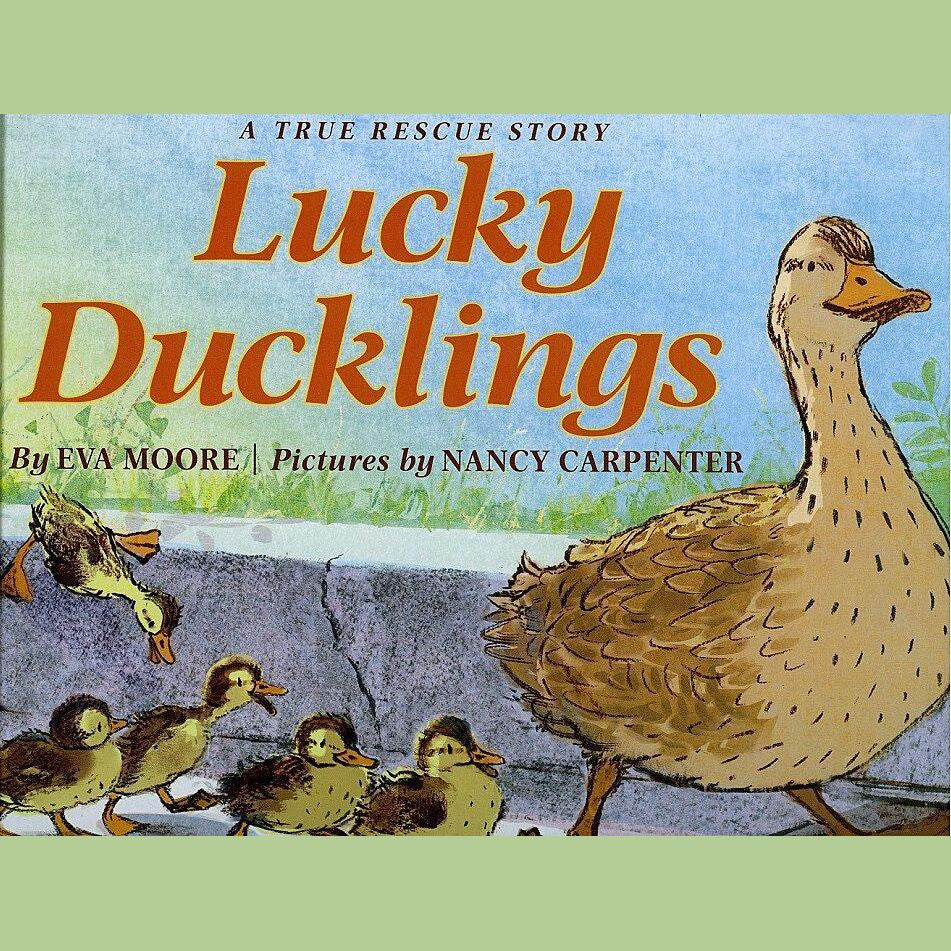 Lucky Ducklings