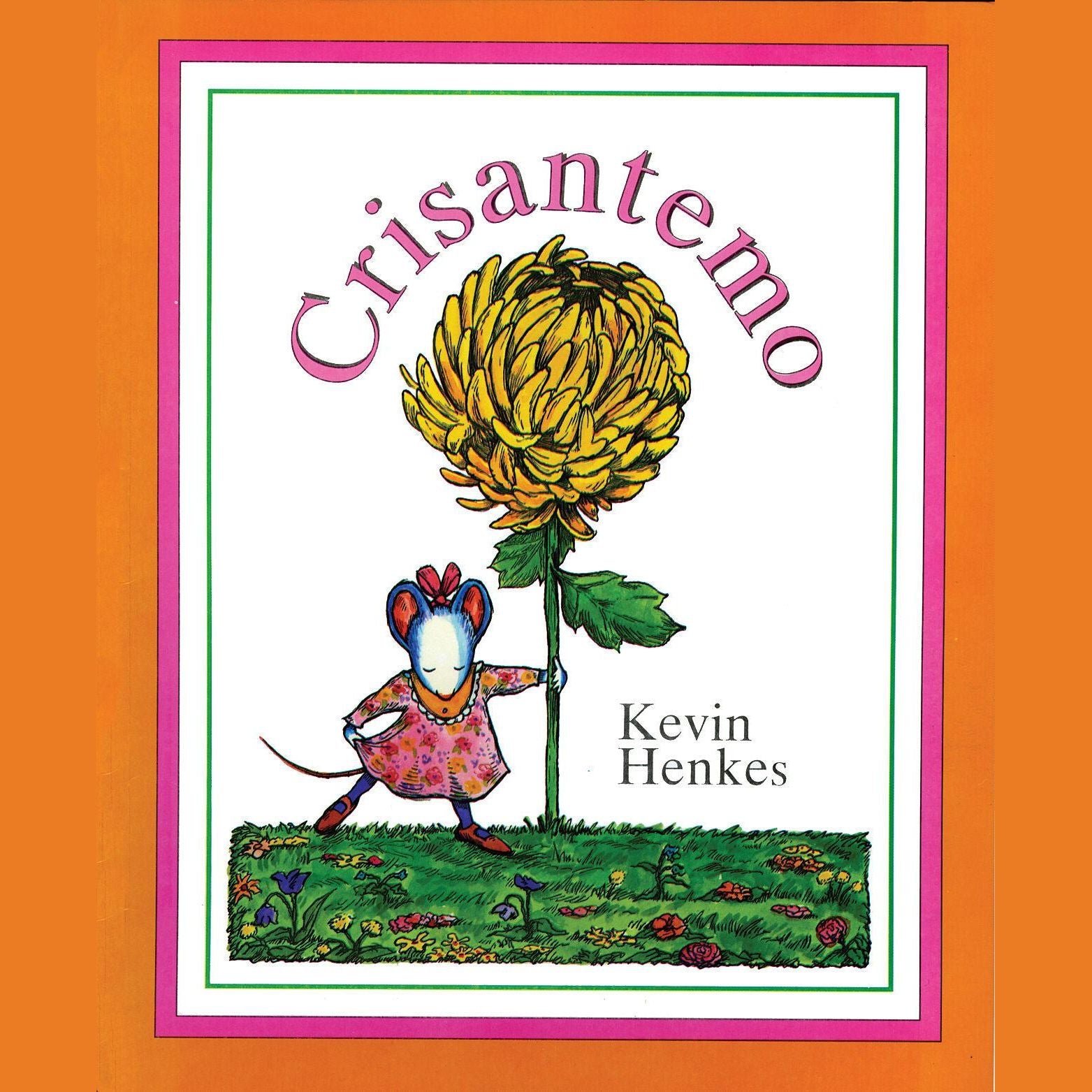 Crisantemo (Chrysanthemum)