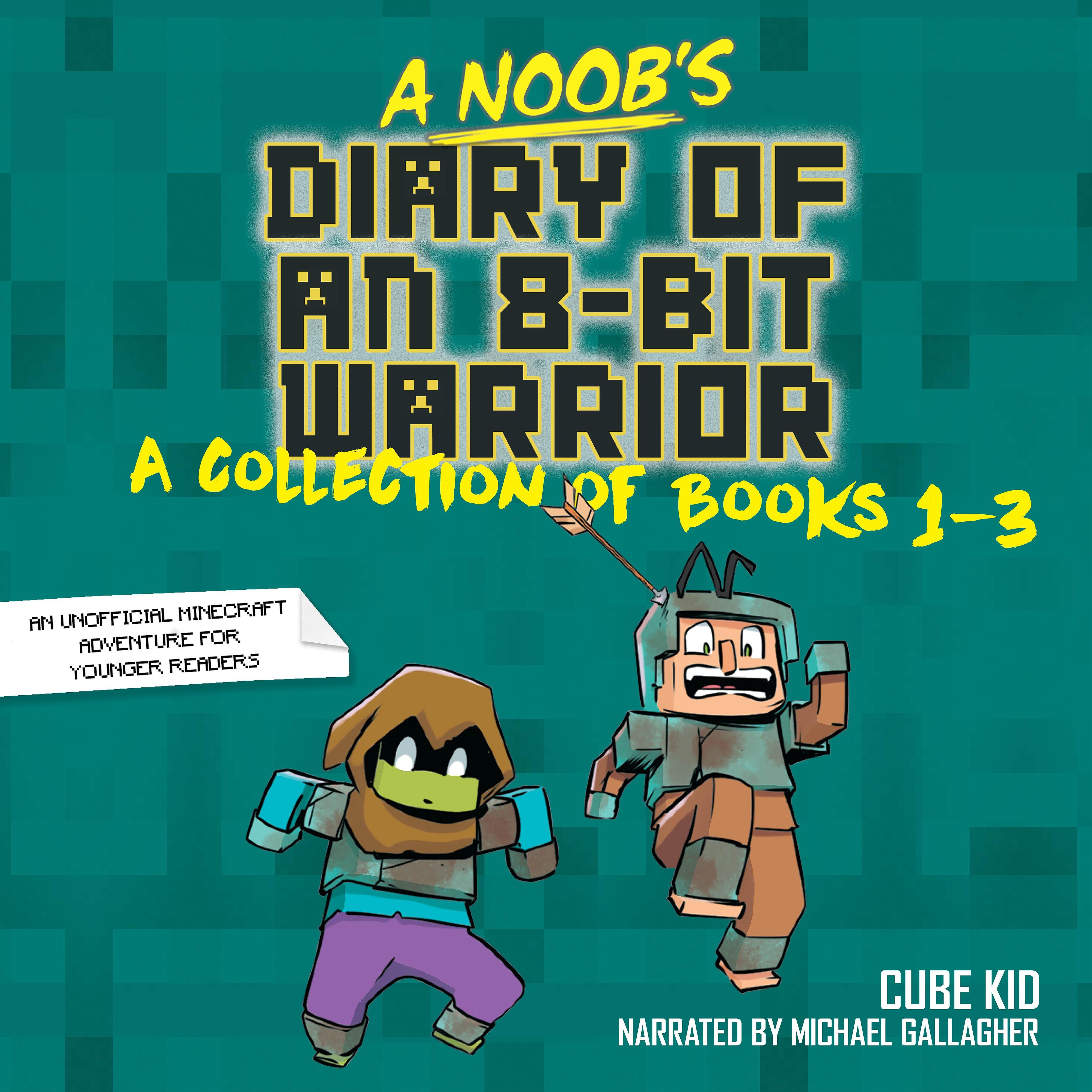 A Noob's Diary of an 8-Bit Warrior Collection