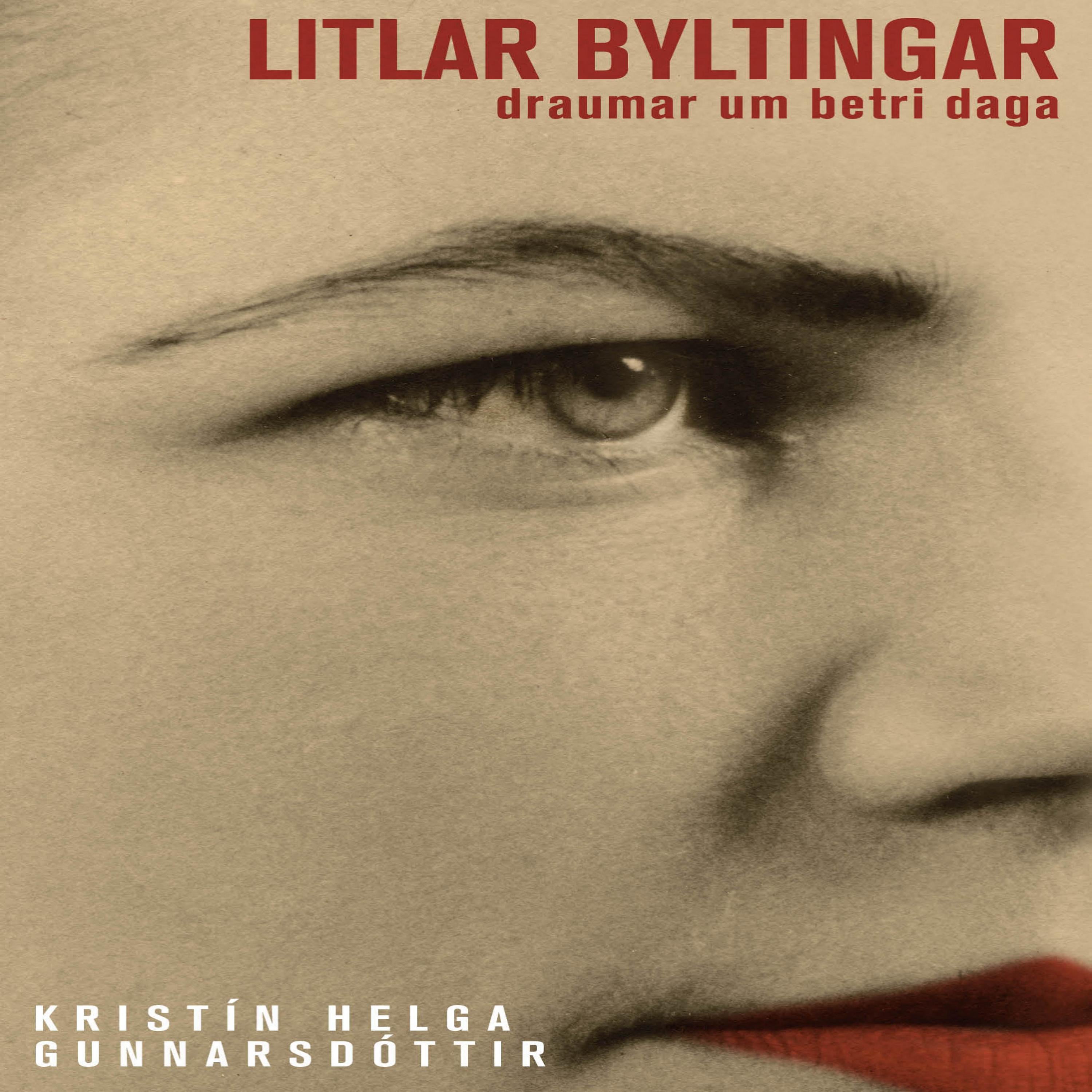 Litlar byltingar