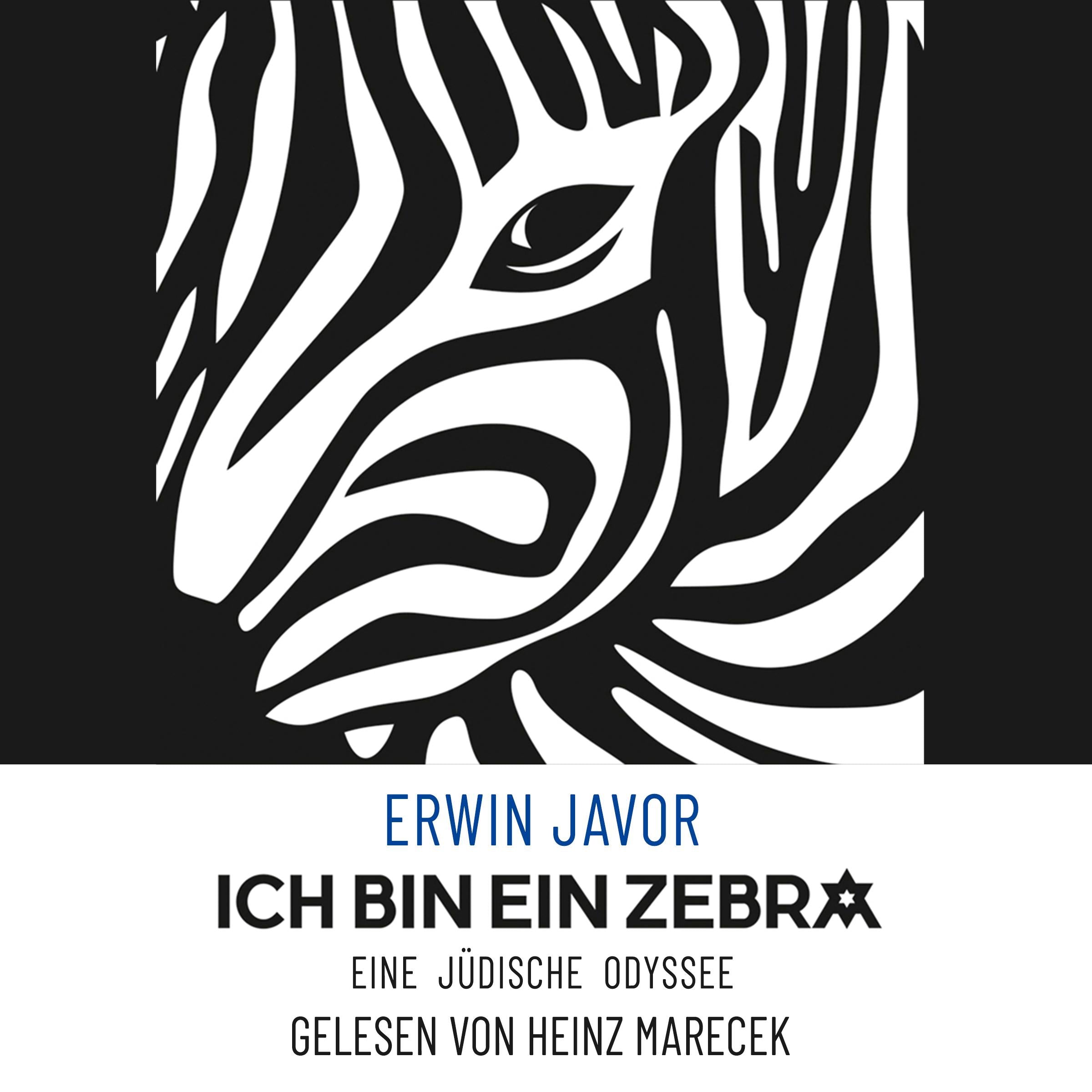 Ich bin ein Zebra: Eine jüdische Odyssee