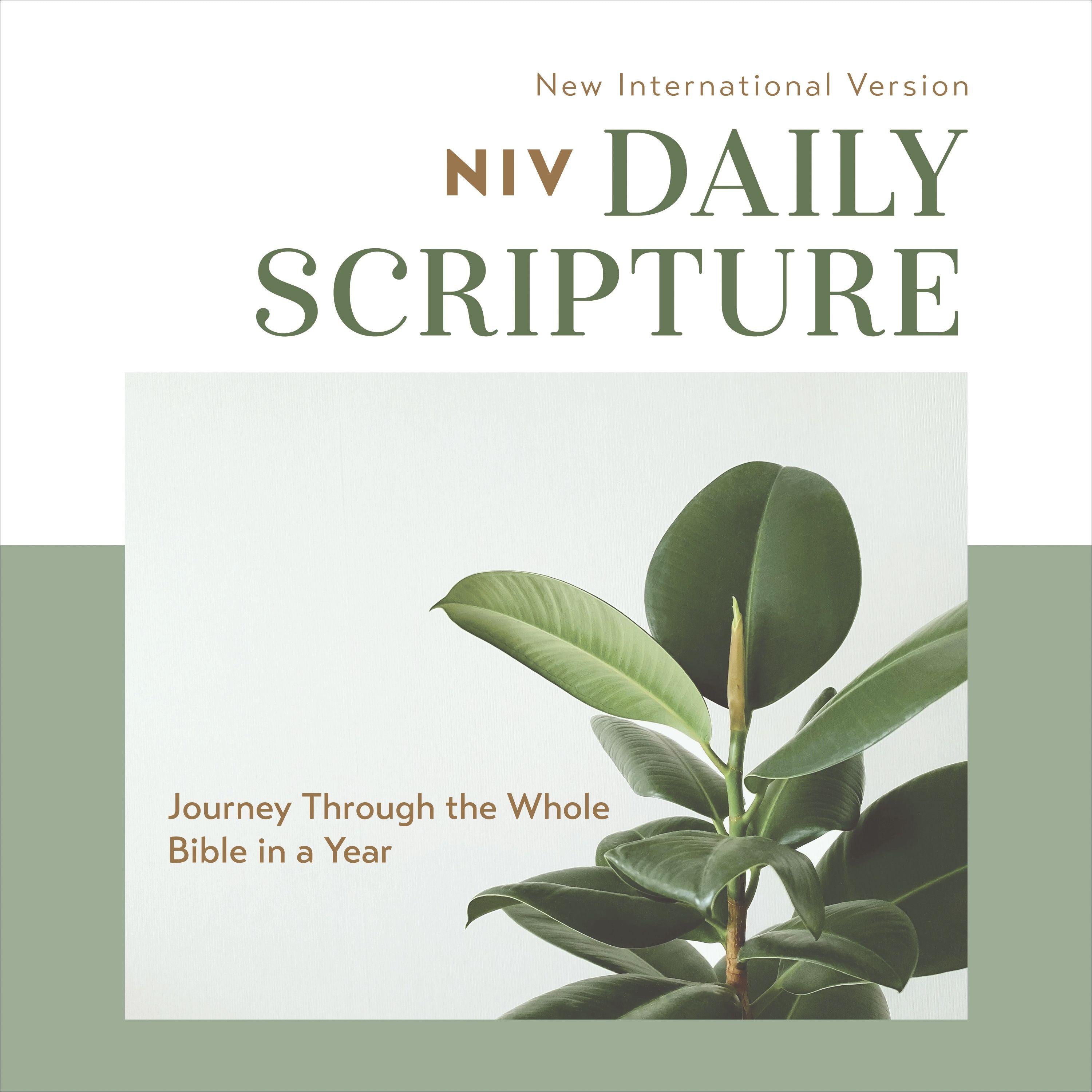 Daily Scripture Audio Bible---New International Version, NIV: Complete Bible
