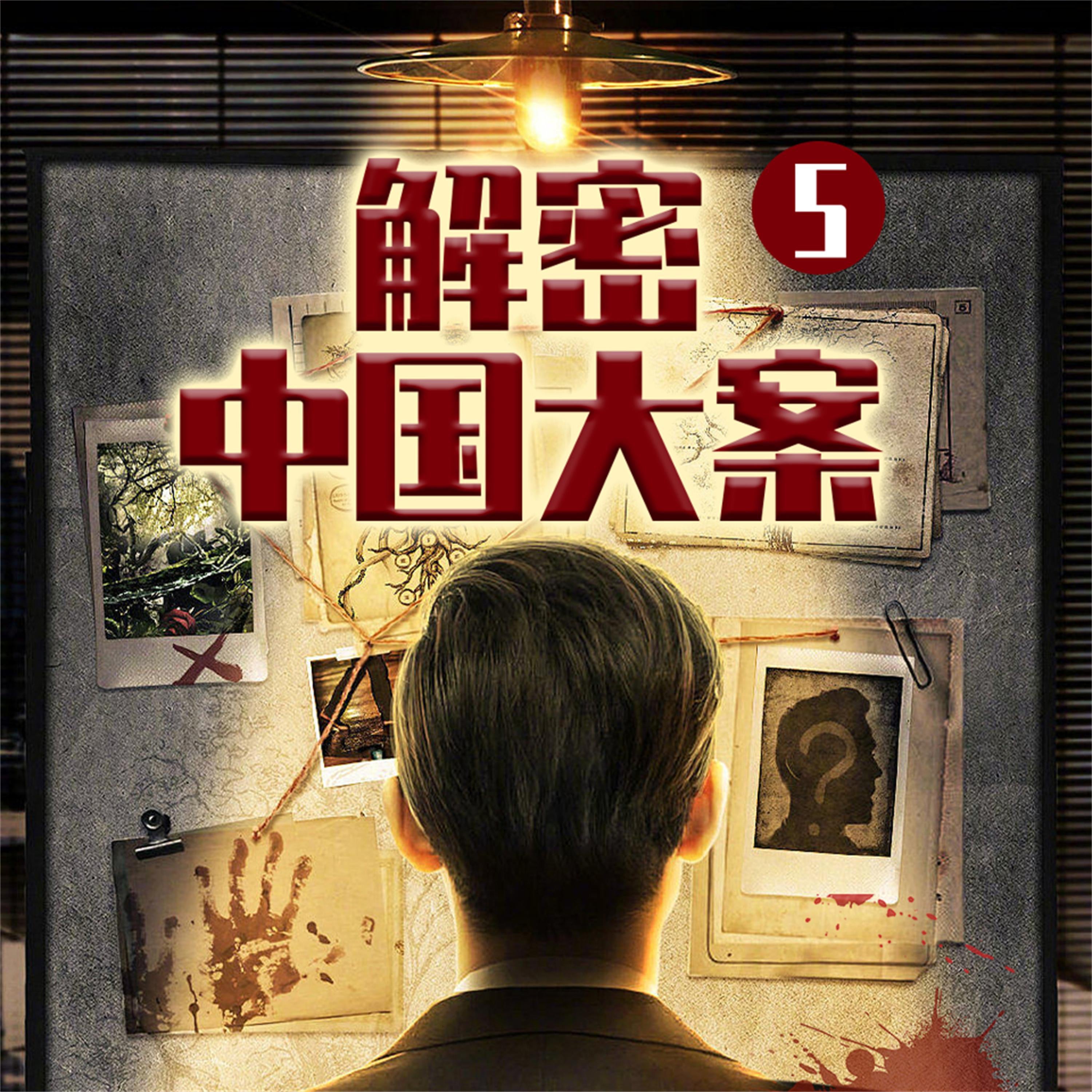 解密中国大案5