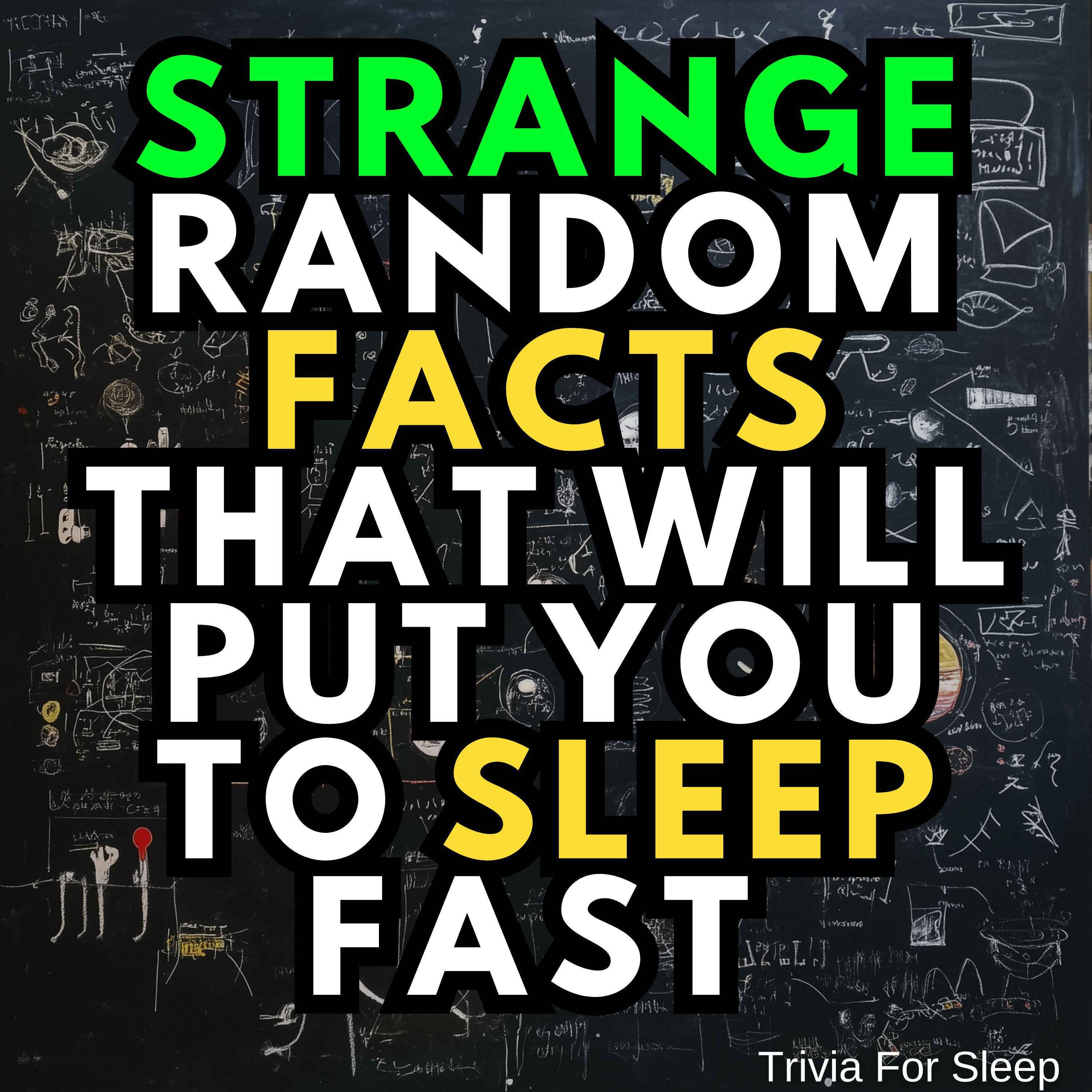 Strange Random Facts That Will Put You to Sleep Fast