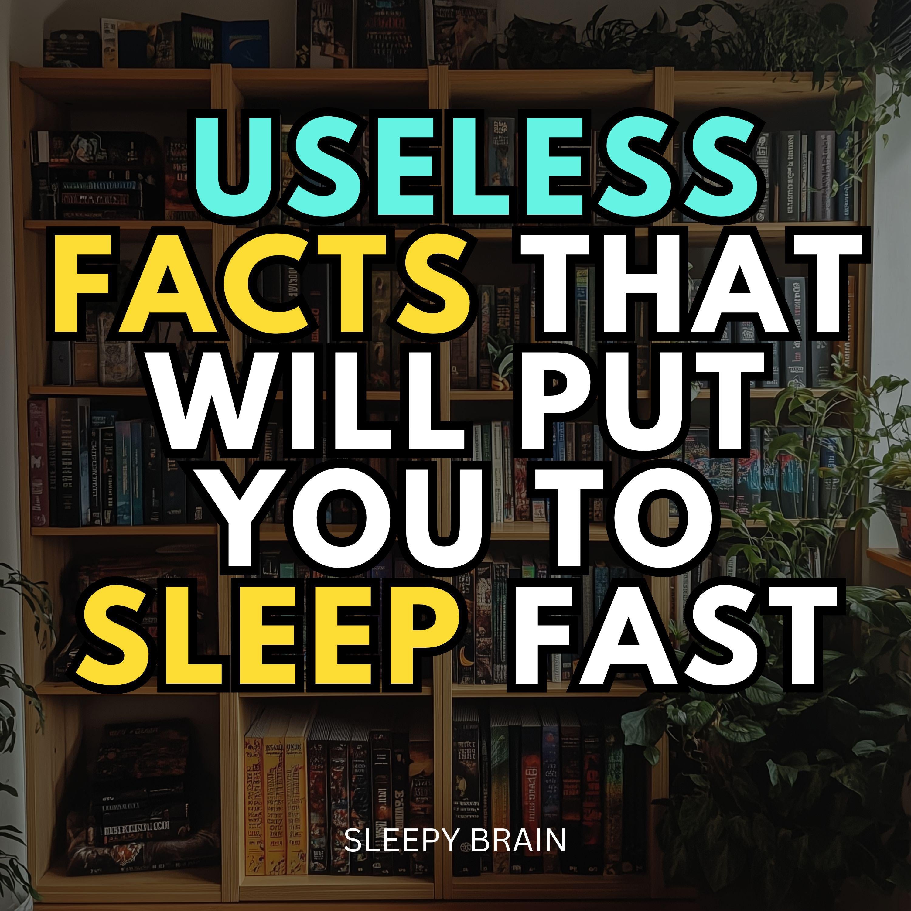 Useless Facts That Will Put You to Sleep Fast