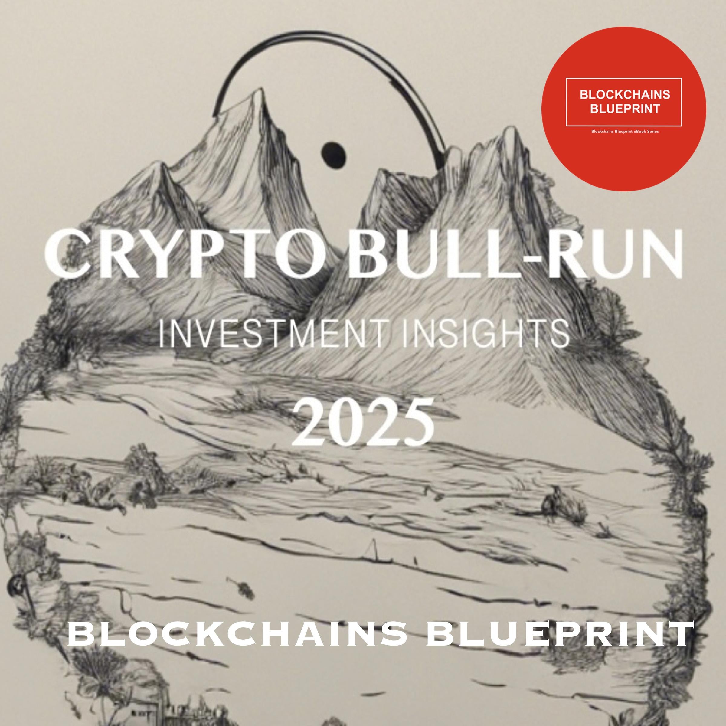CRYPTO BULL RUN INVESTMENT INSIGHTS 2025