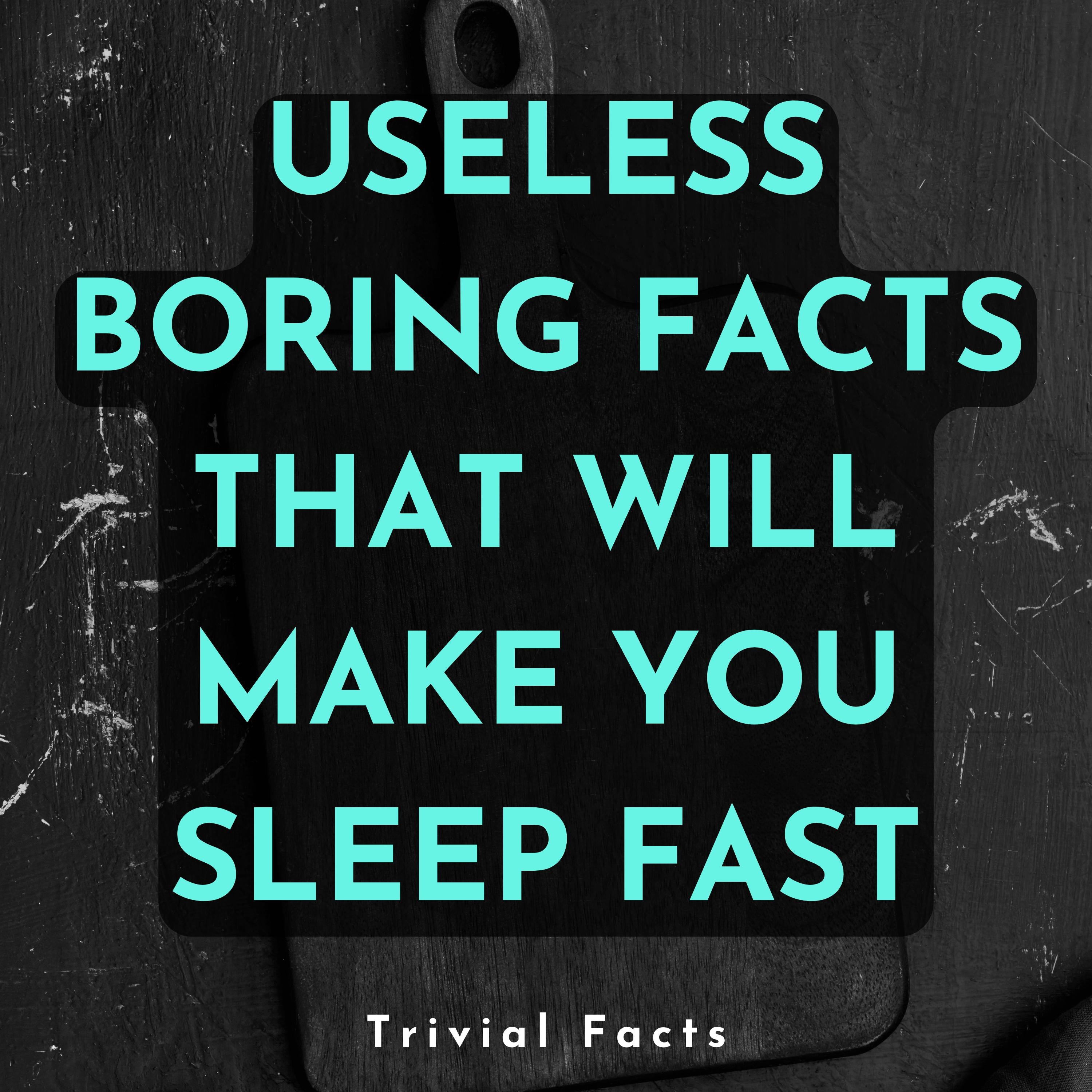 Useless Boring Facts That Will Make You Sleep Fast