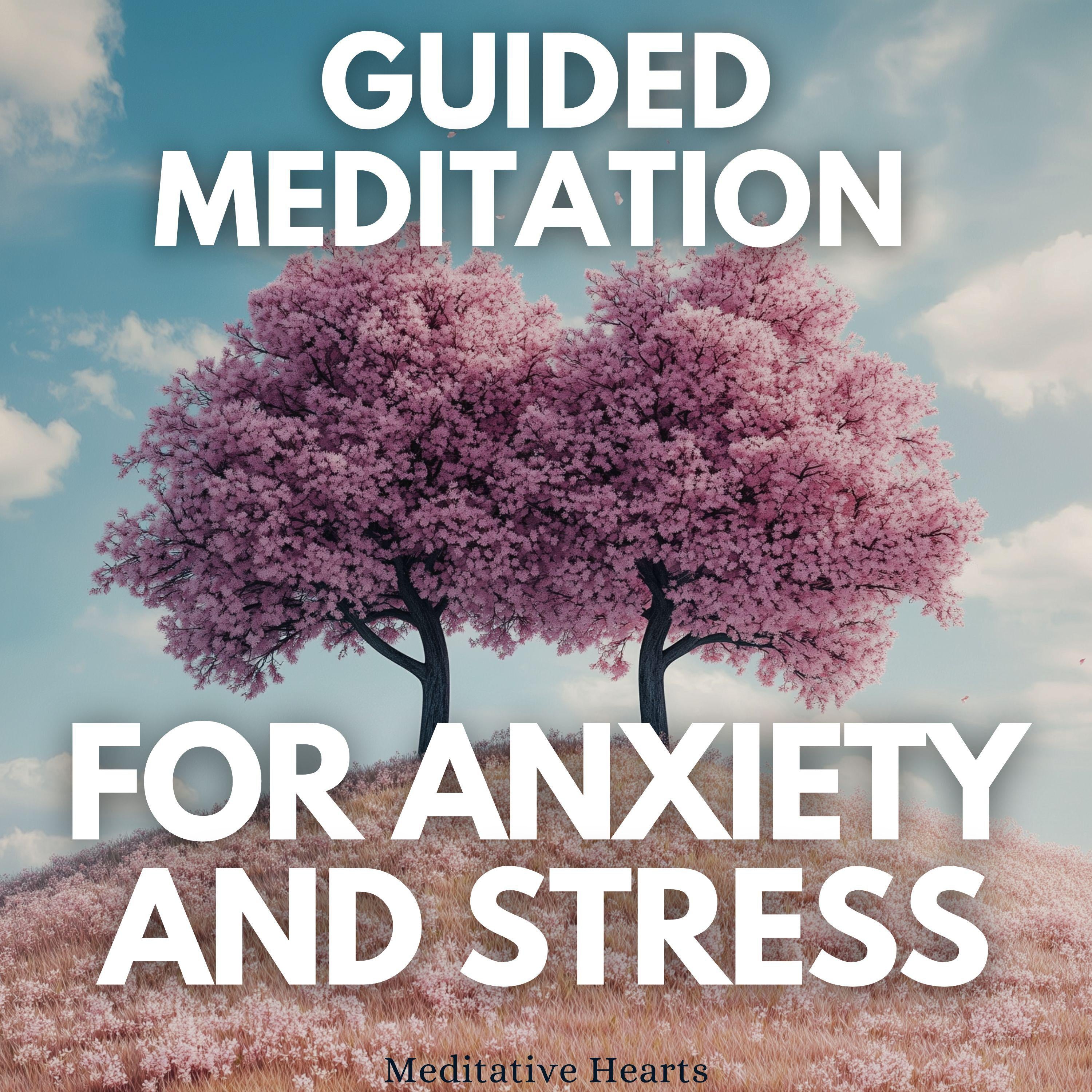Guided Meditation for Anxiety and Stress