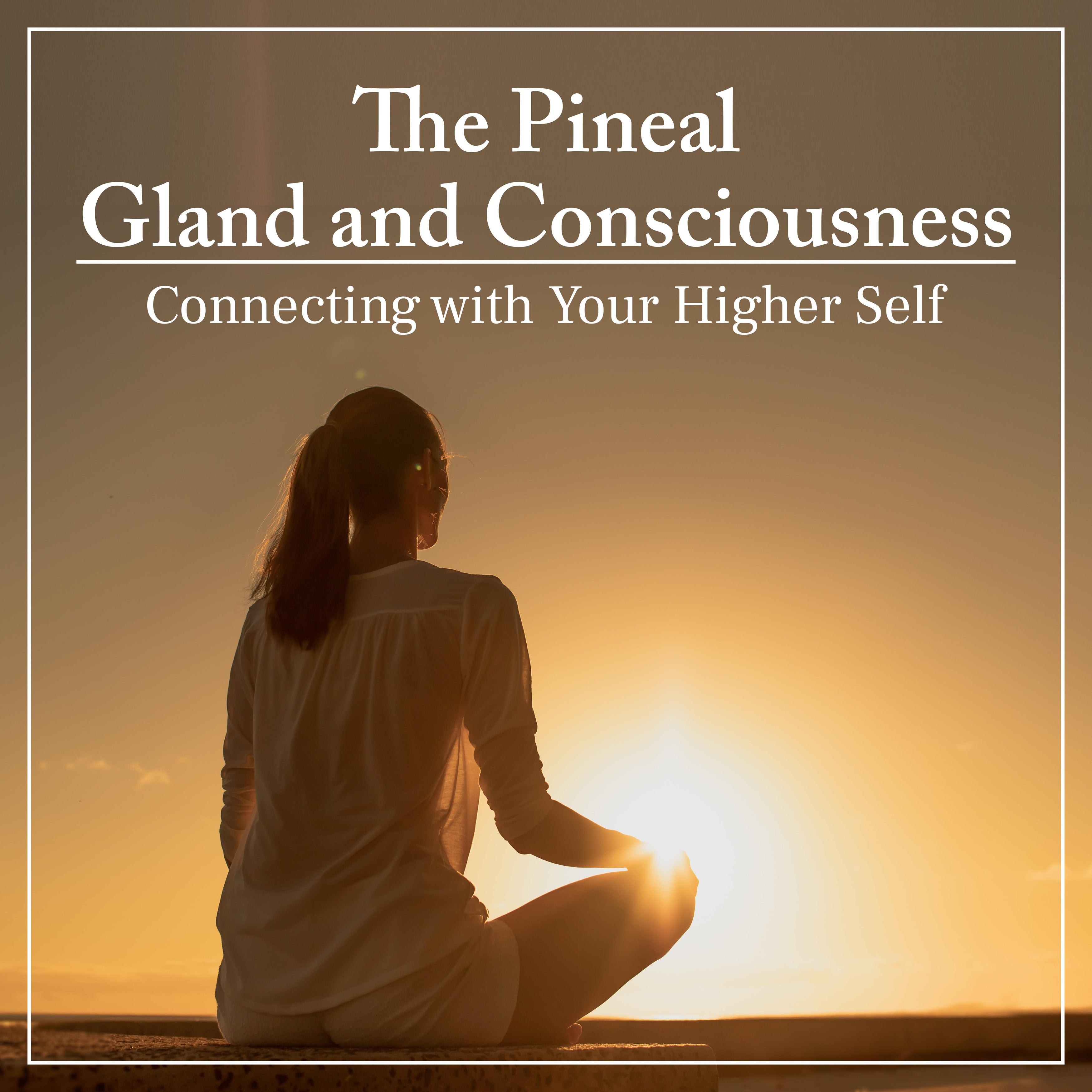 The Pineal Gland and Consciousness