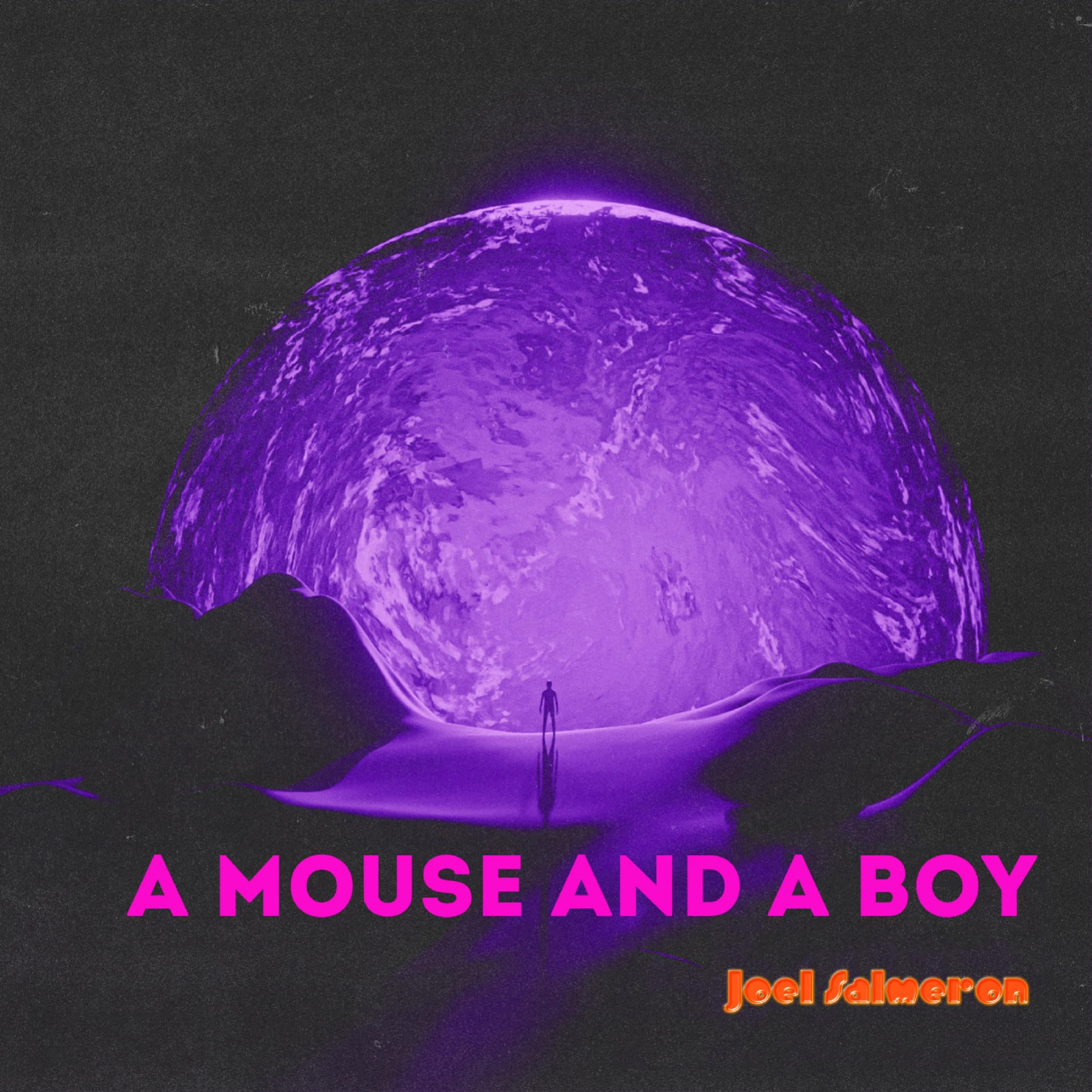 A Mouse and A Boy