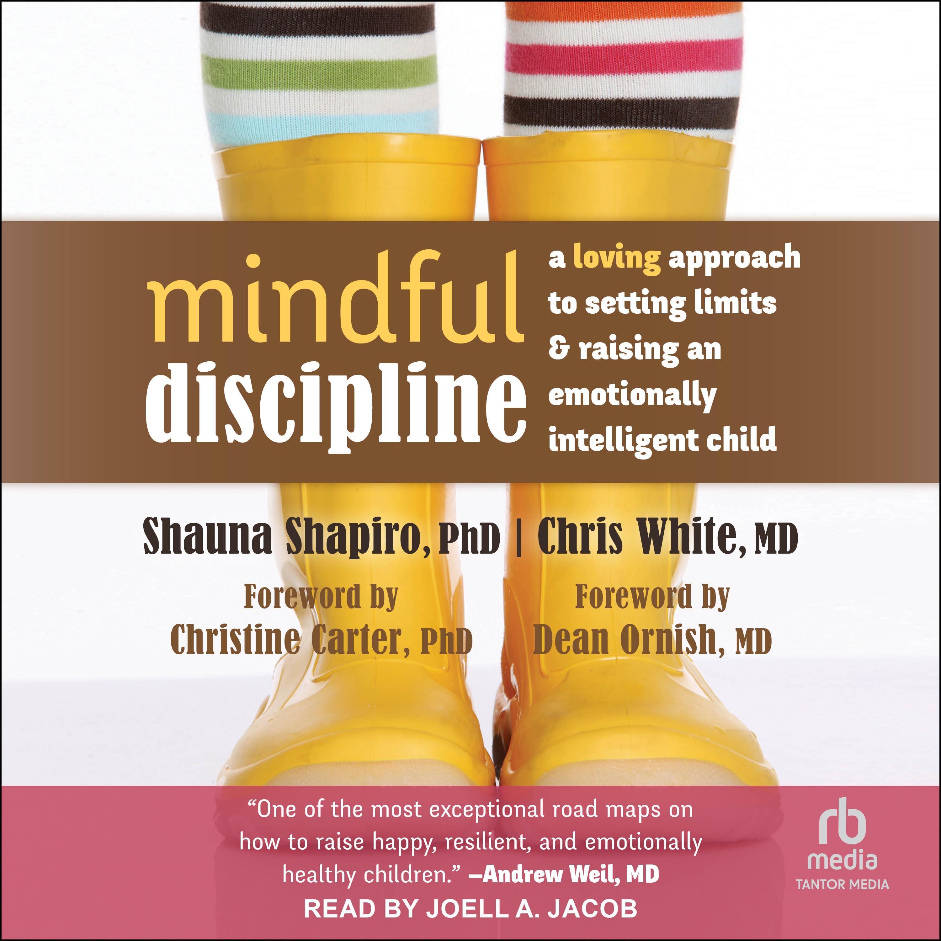 Mindful Discipline