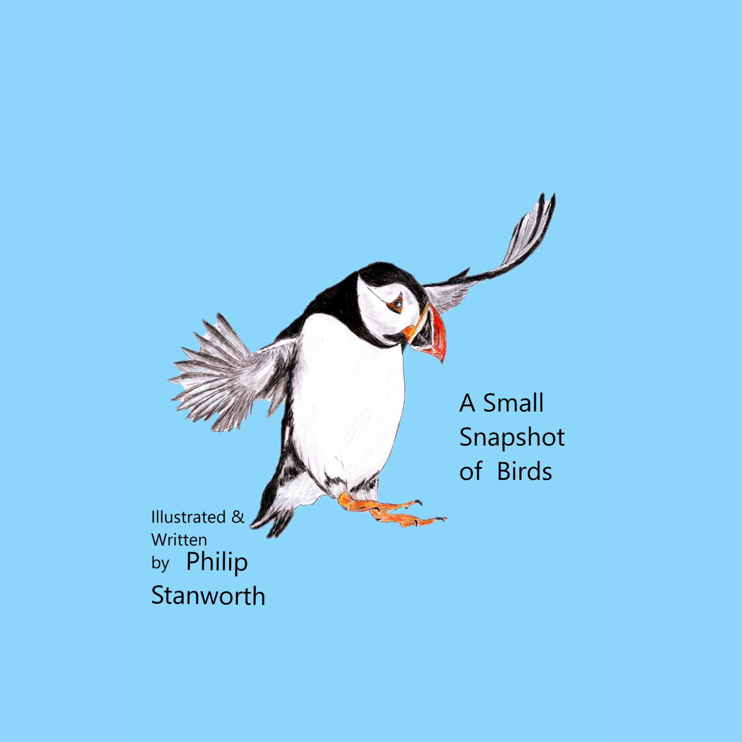 A Small Snapshot Of Birds