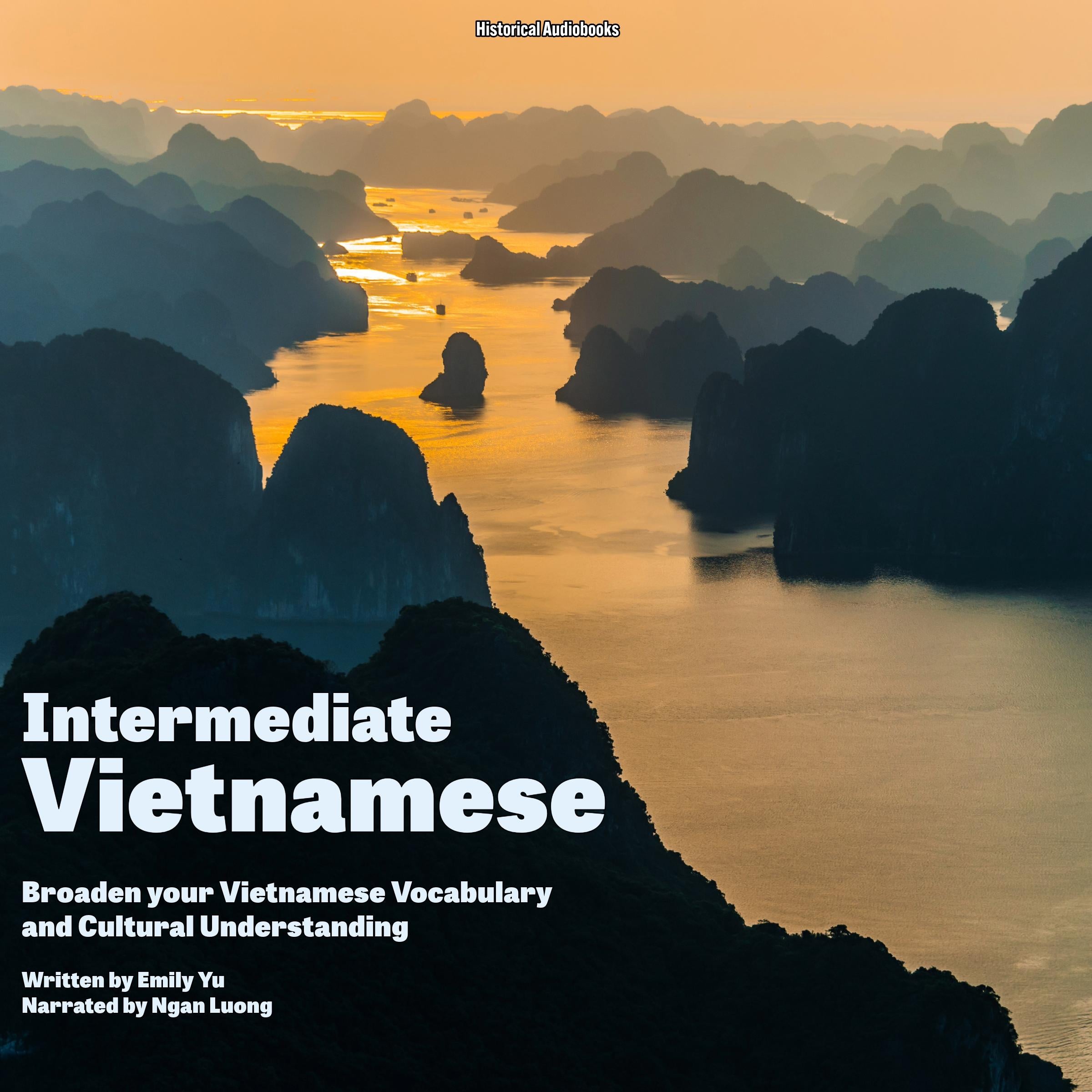 Intermediate Vietnamese