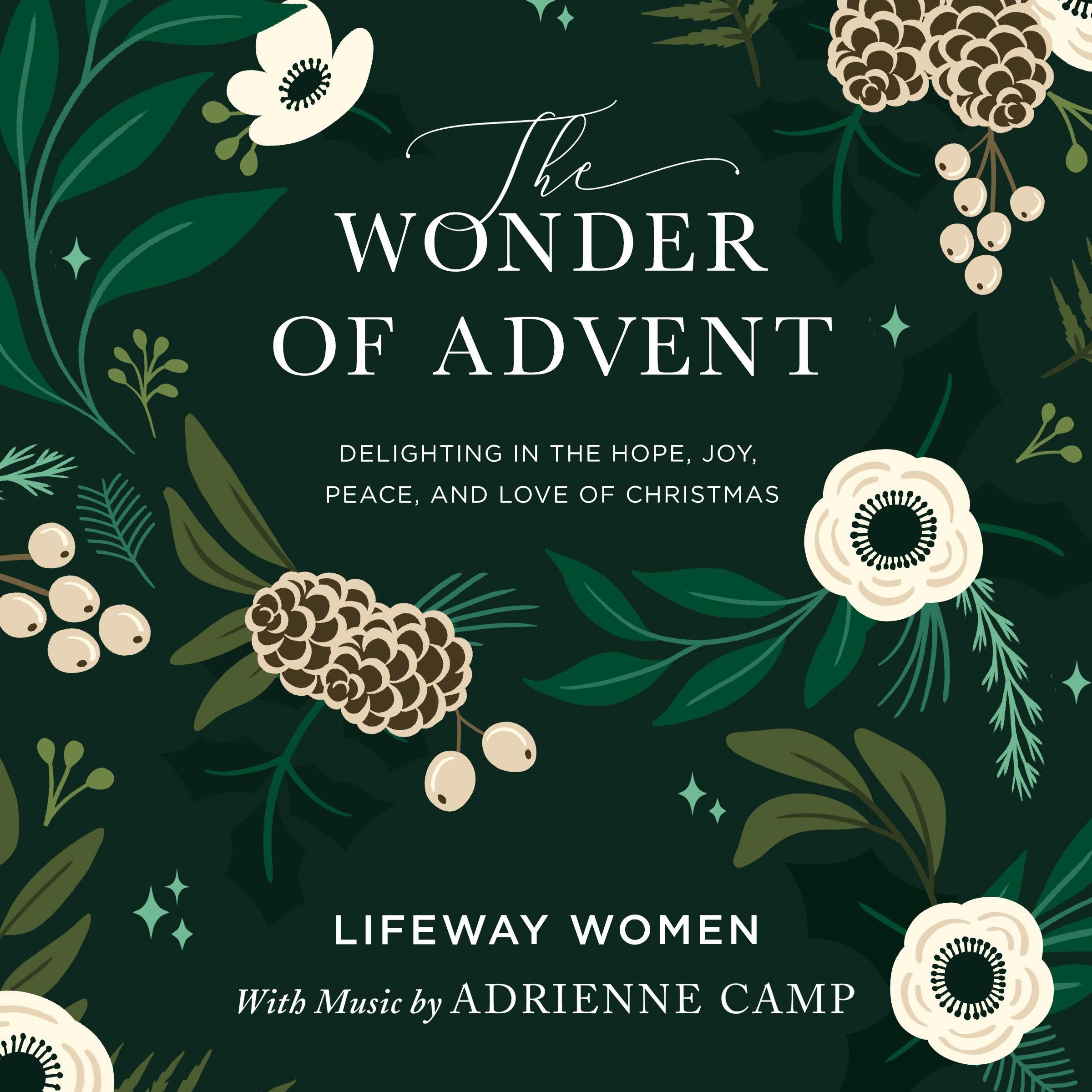 The Wonder of Advent Audio Bible Study Experience