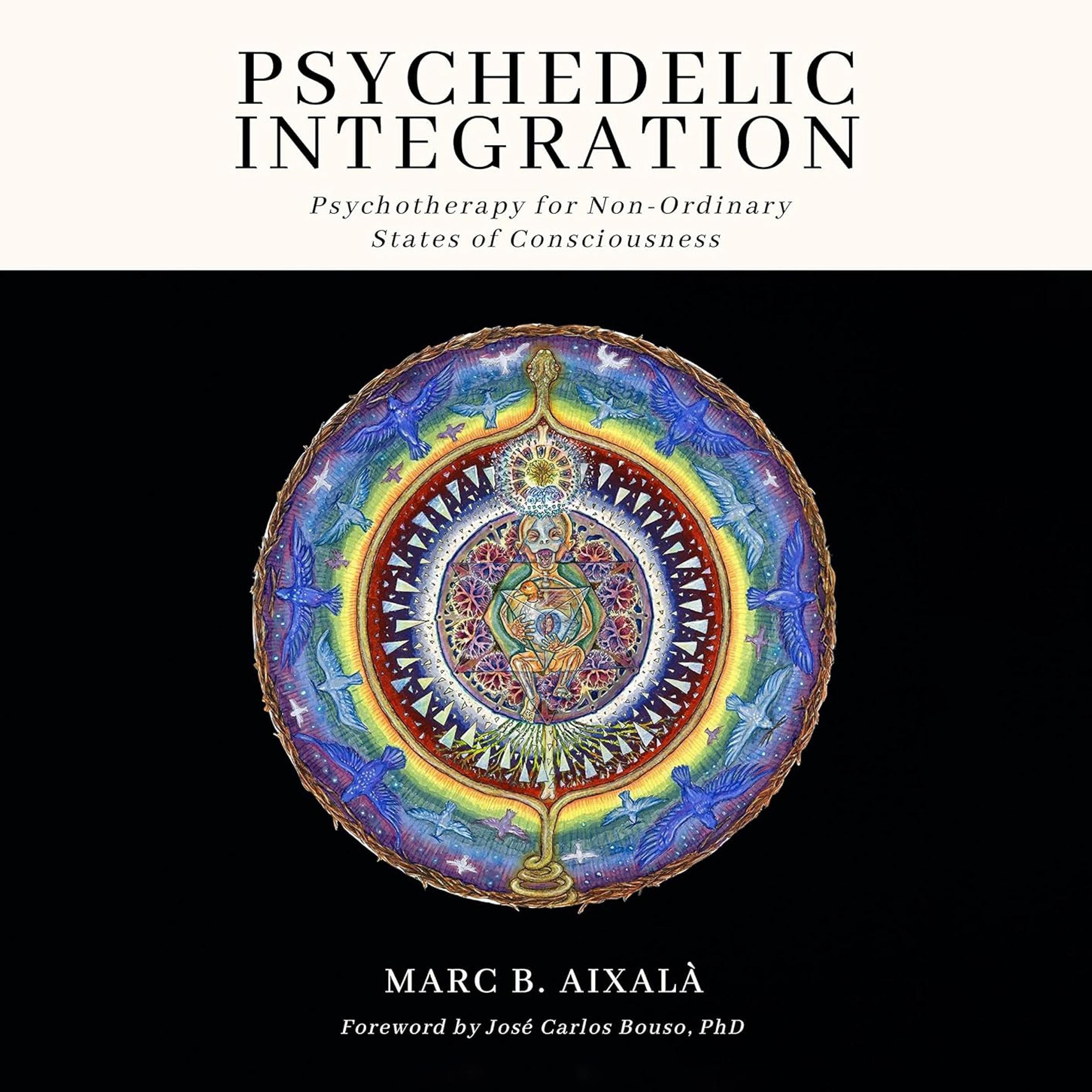 Psychedelic Integration