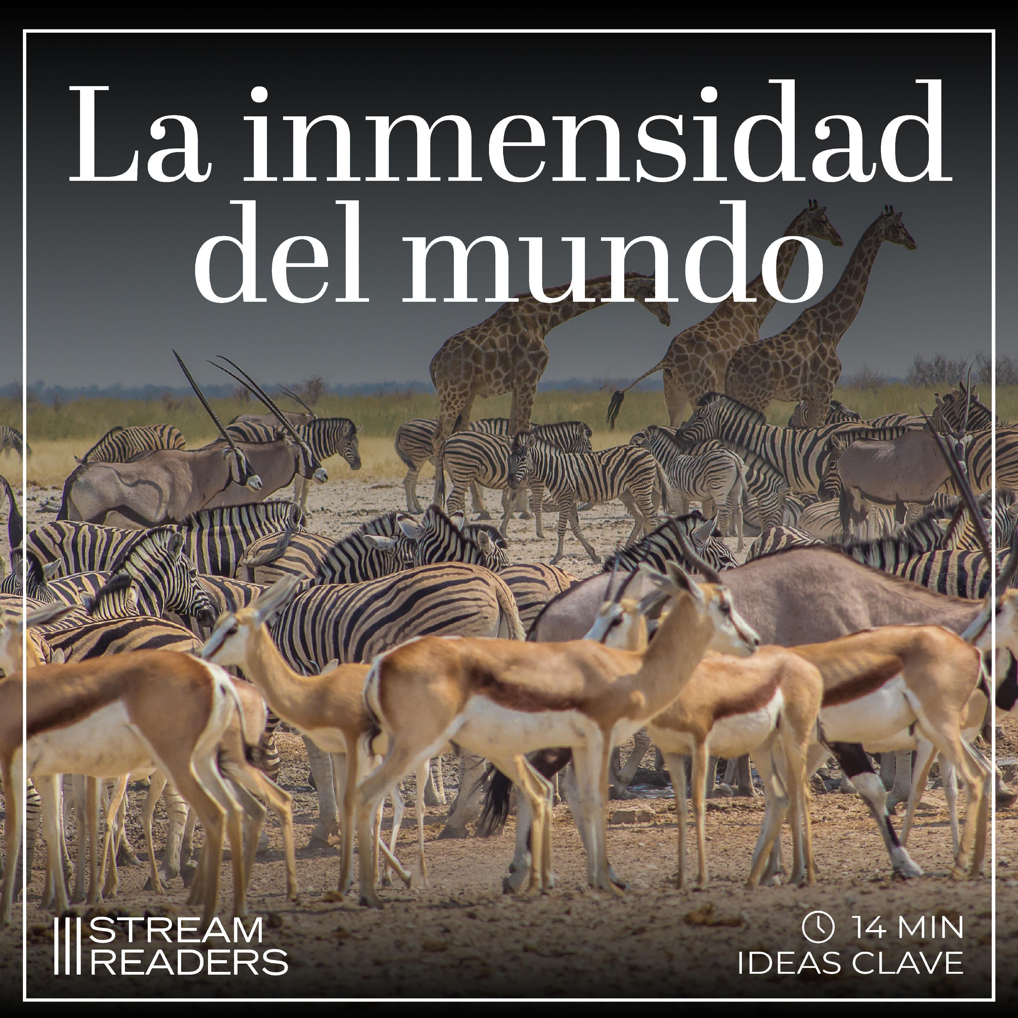 La inmensidad del mundo