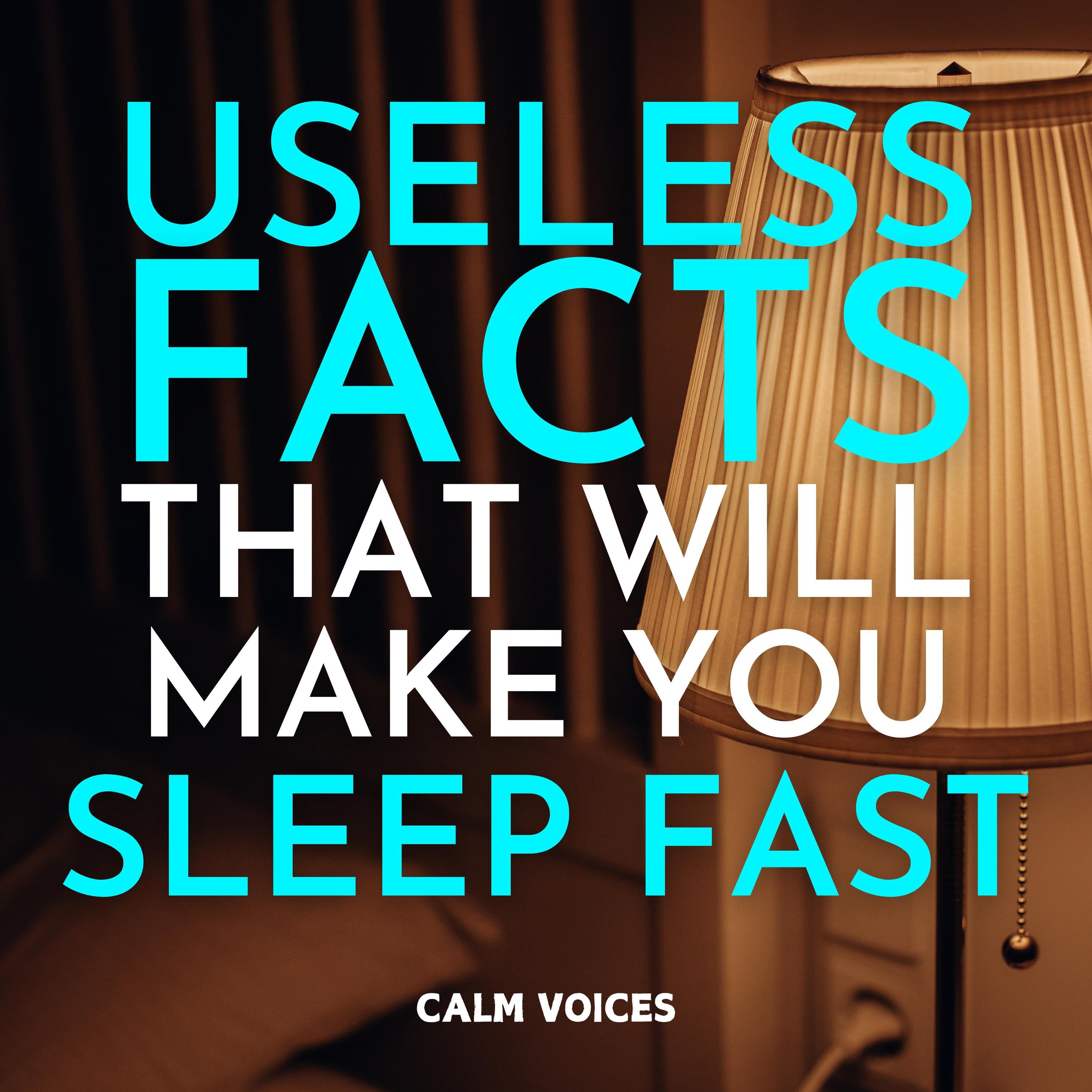 Useless Facts That Will Make You Sleep Fast